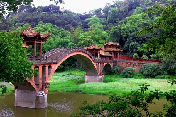 Pont chinois noyé dans la verdure