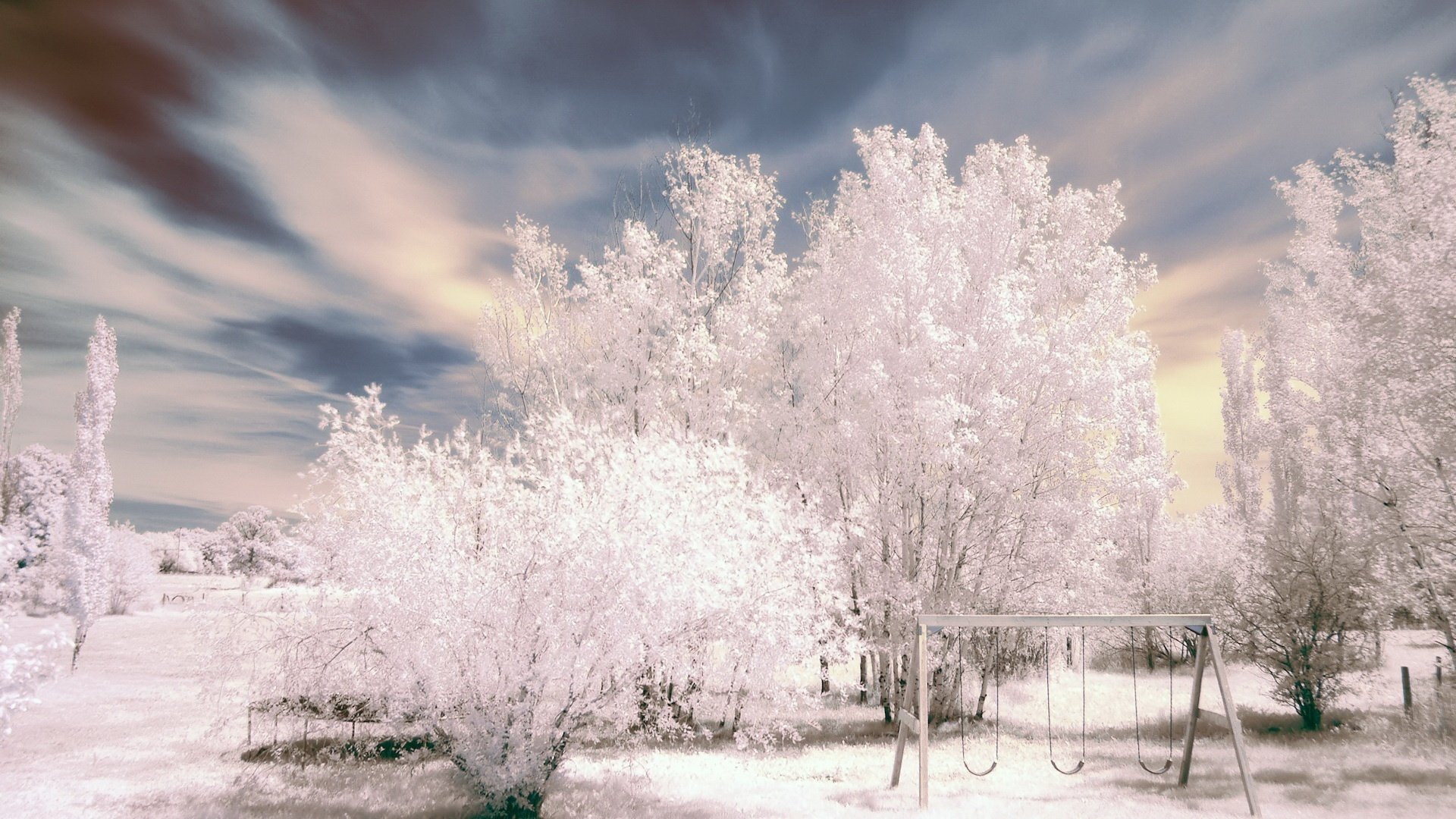 natura bianca come la neve neve ovunque inverno neve gelo cielo altalena