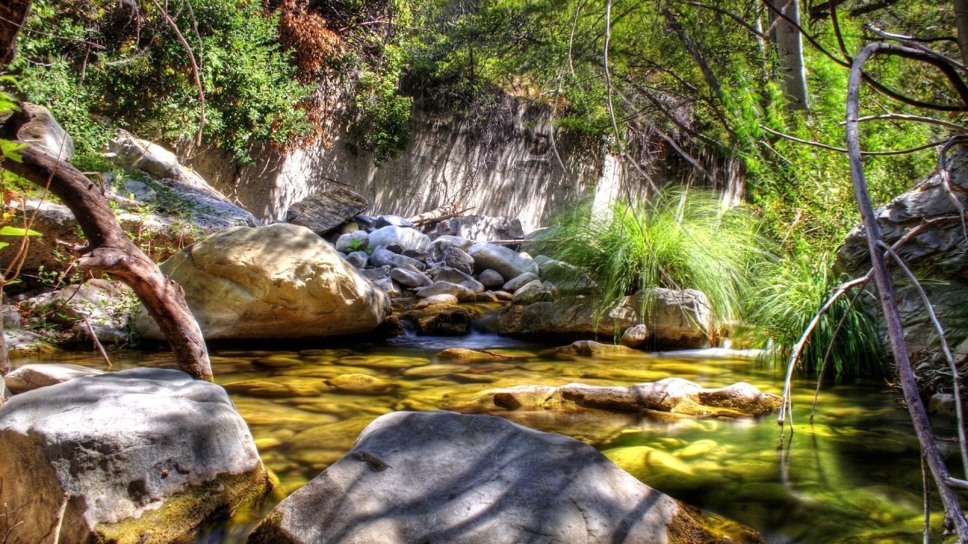 natural bath fascinating plants large stones lake stones thickets nature water the sun rays grace silence calm