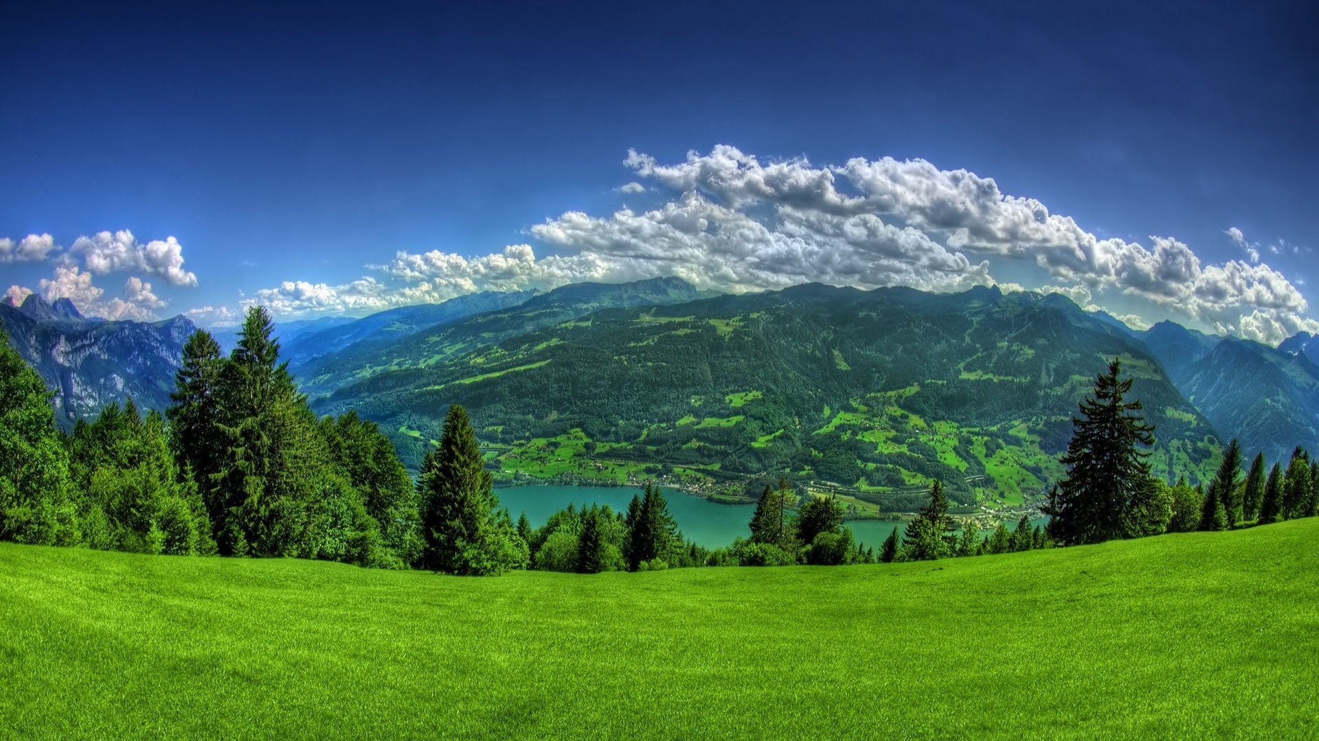 fluss unten lichtung grünes gras himmel berge wolken fichte wald sommer wasser