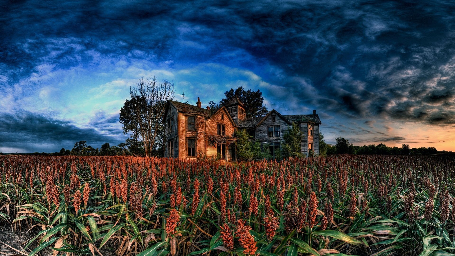 grey house flowers dark clouds the storm home the sky landscape nature beauty