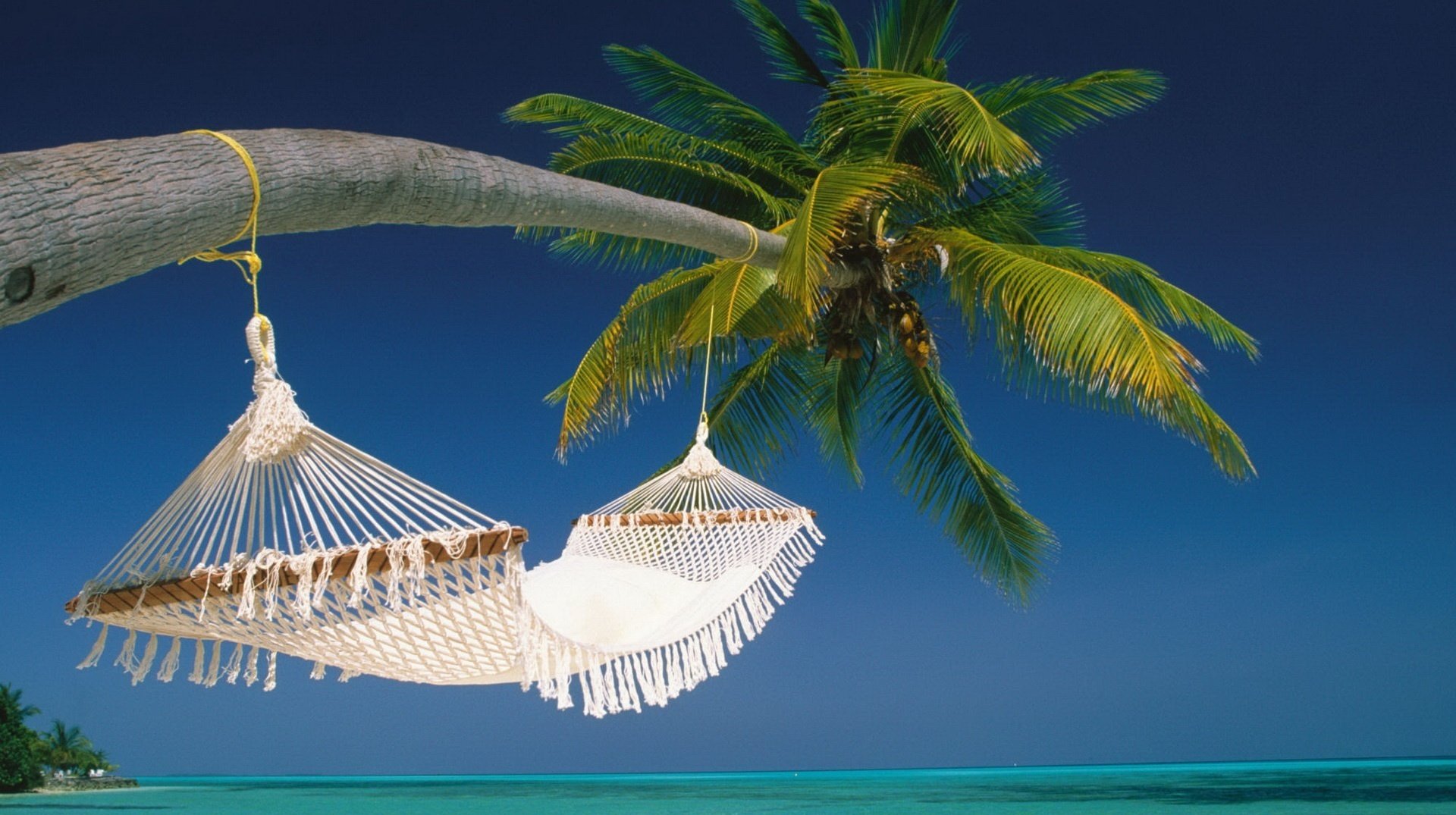 gebogene palme hängematte geflochten himmel meer wasser strand sommer sonne hitze stimmung