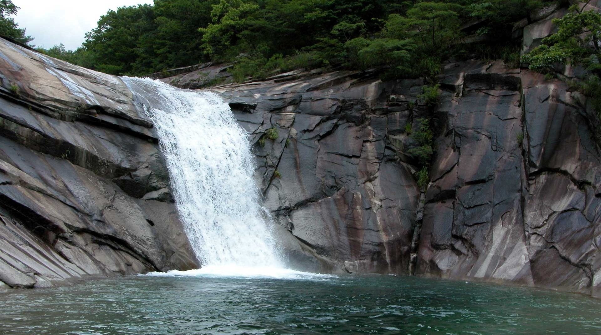 cascata scogliera roccia di pietra acqua foresta alberi