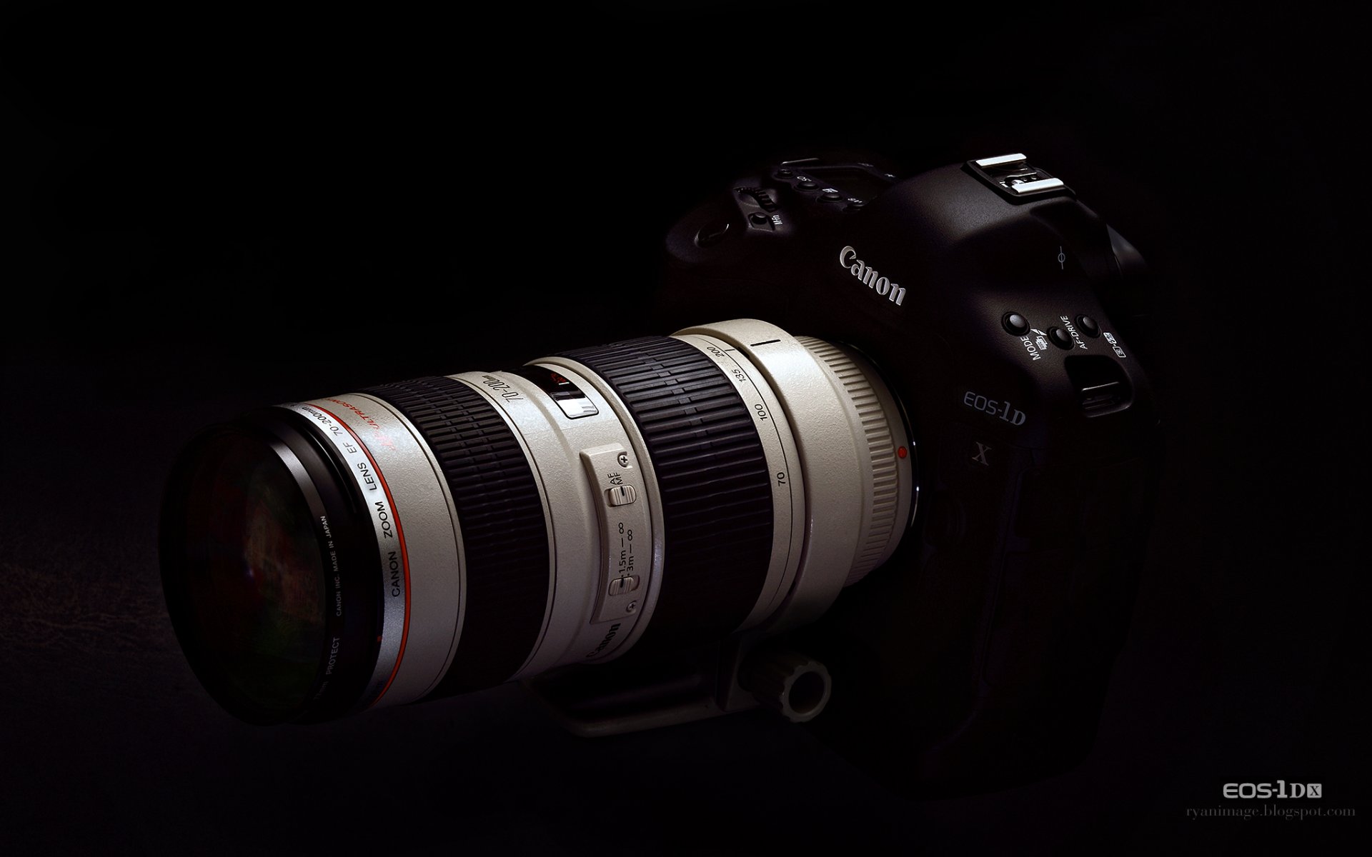 a camera canon eos-1d x lens canon ef 70-200mm f2.8l