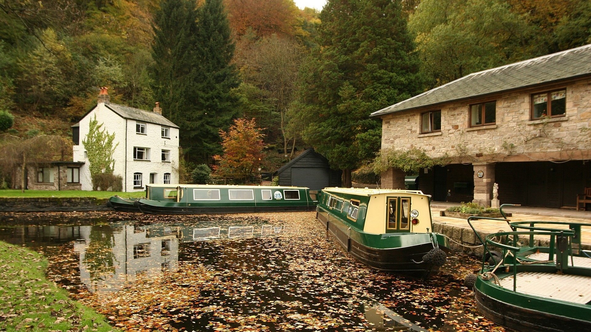 walking katerki foliage in the water beauty the city water lake leaves forest trees boats pier house