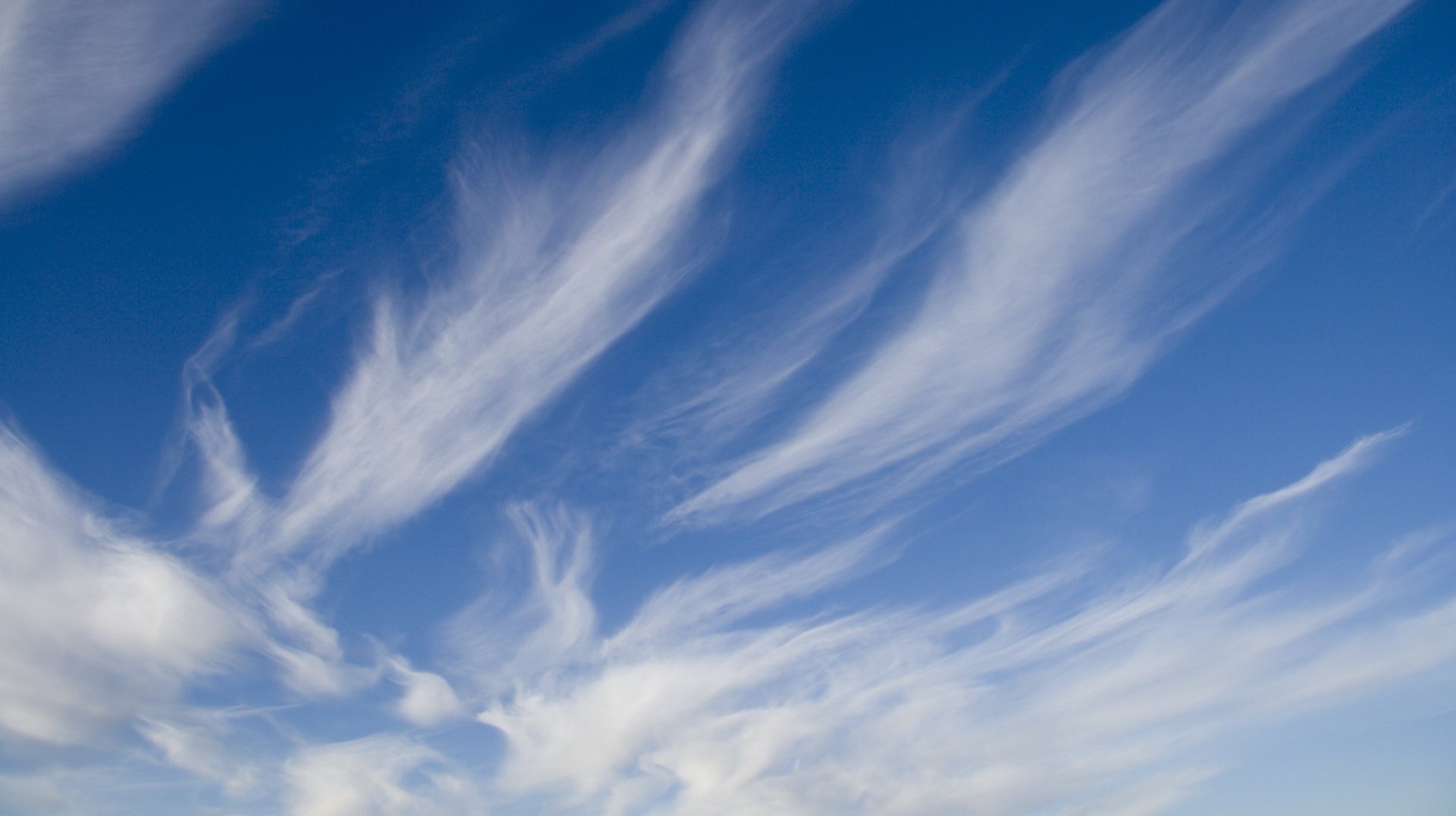 nubes transparentes bordes engrasados cielo cielo