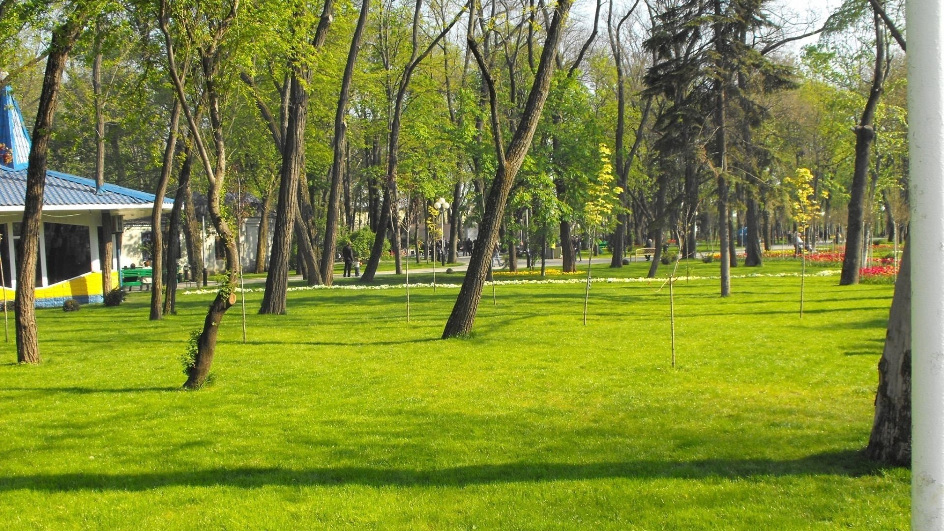 park green grass house trees autumn