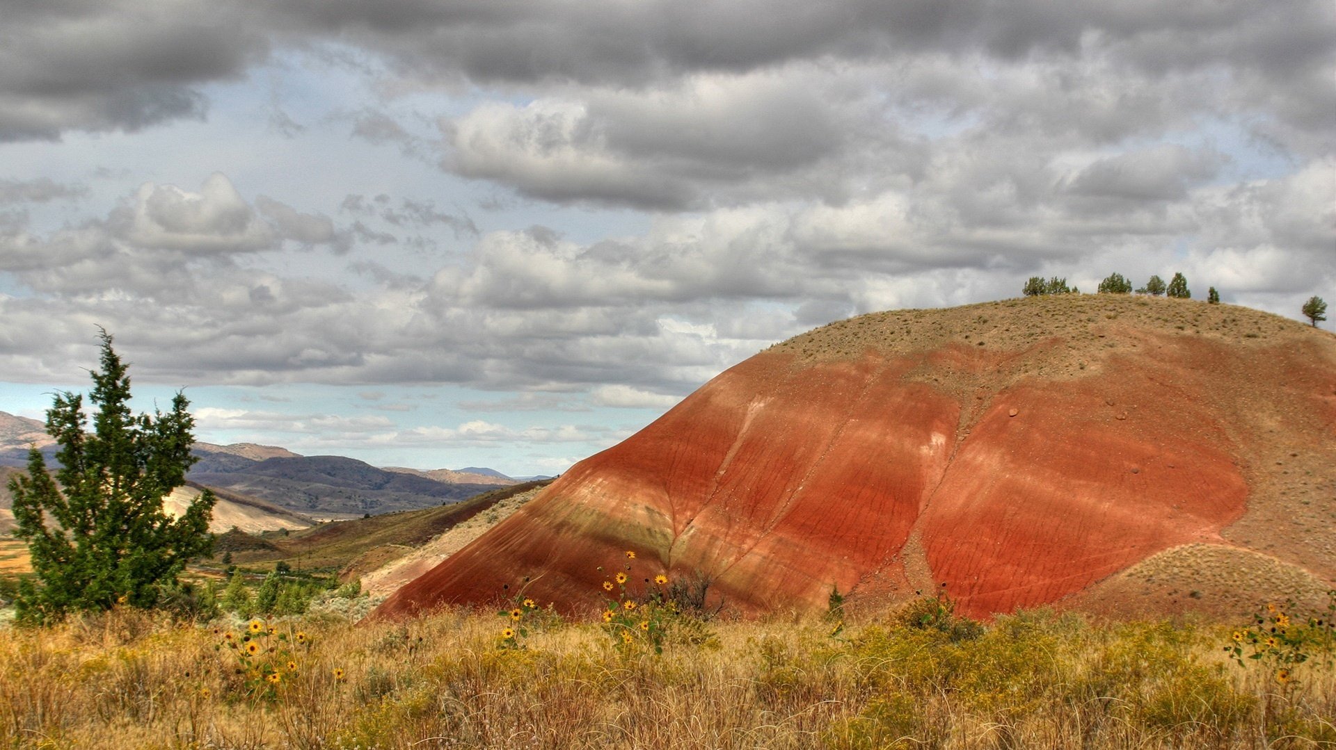 flores montículo rojo hierba seca montañas cielo nubes campo naturaleza paisaje verano