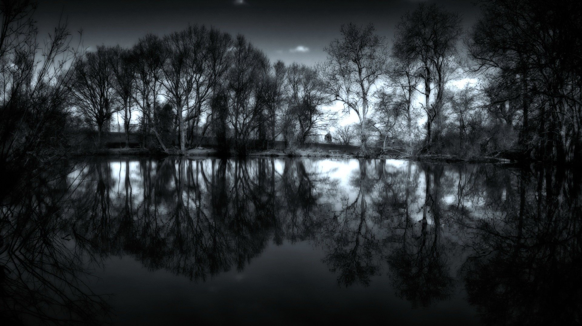 gray trees without leaves lake water forest reflection mediocrity nature twilight overcast landscape sadne