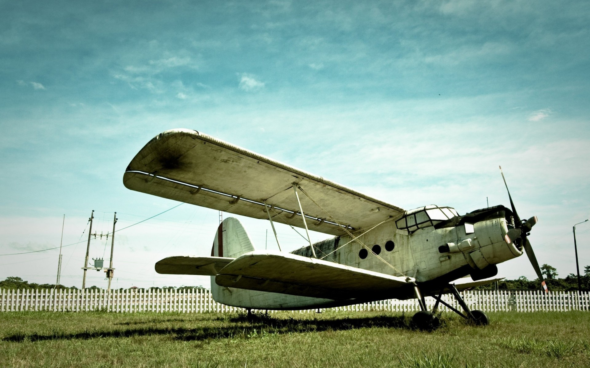 ky grass fence plane