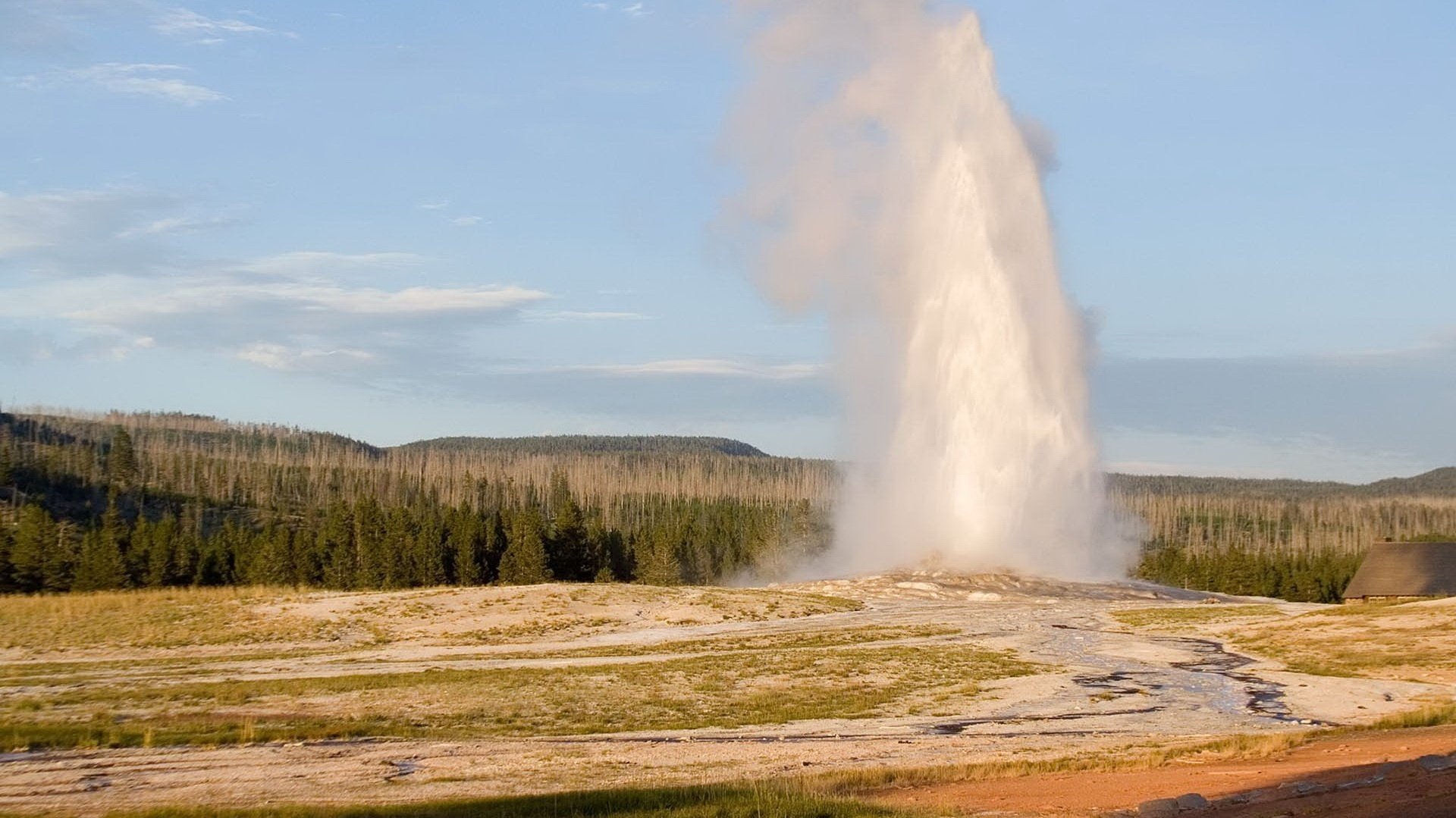 geyser terreni sabbiosi acqua foresta cielo