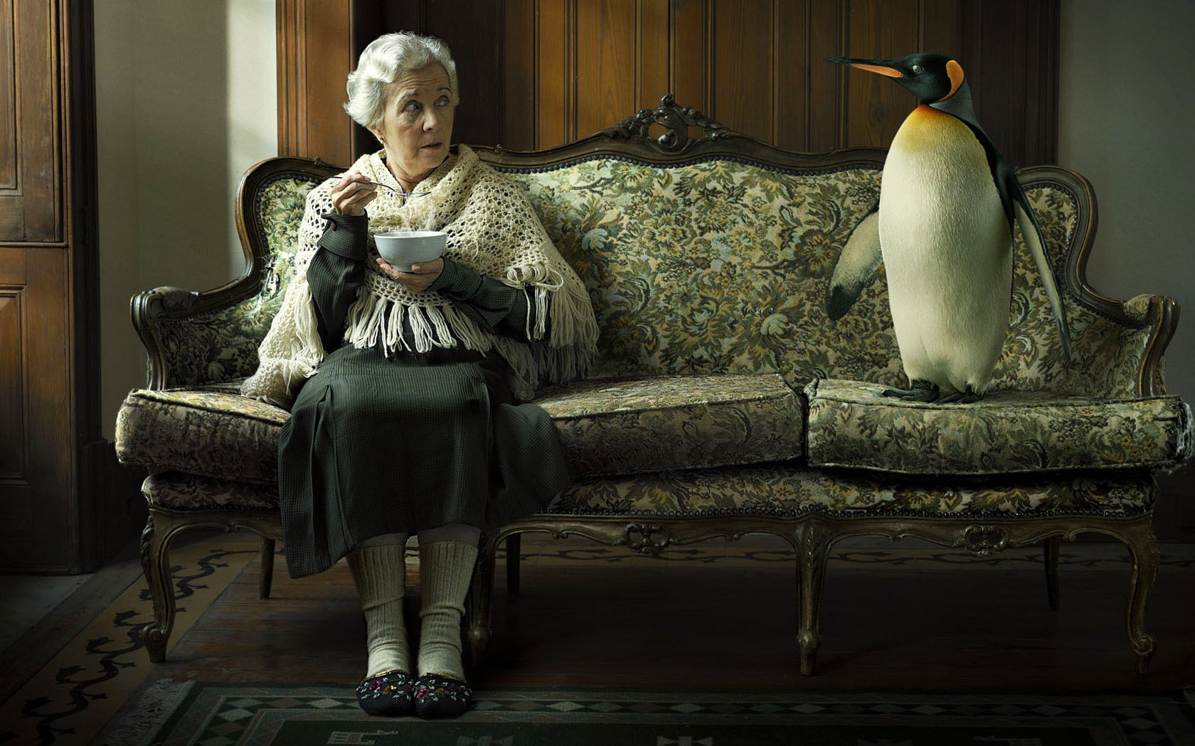 nonna gabbiano divano pinguino animali uccelli persone