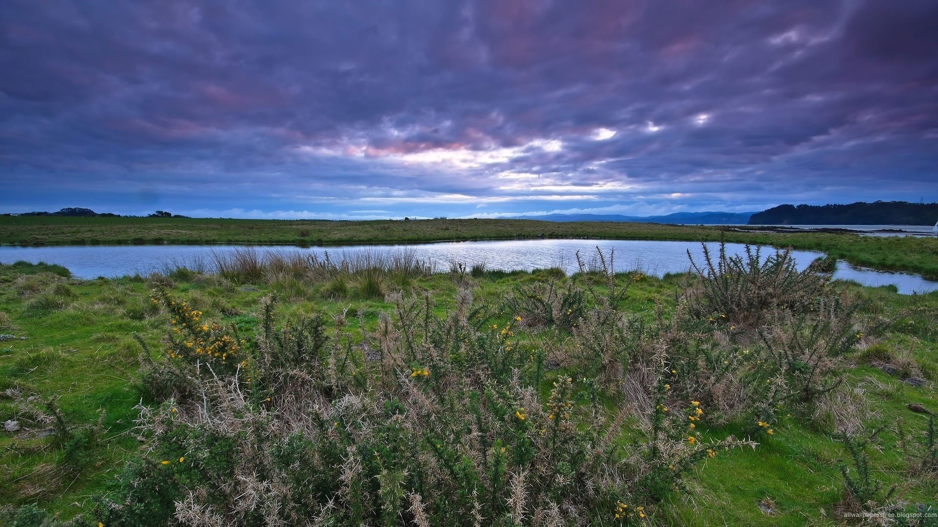 lago salvaje arbustos grises cielo tenso lago agua cielo prado campo vegetación hierba arbustos nubes río dos orillas valle paisaje