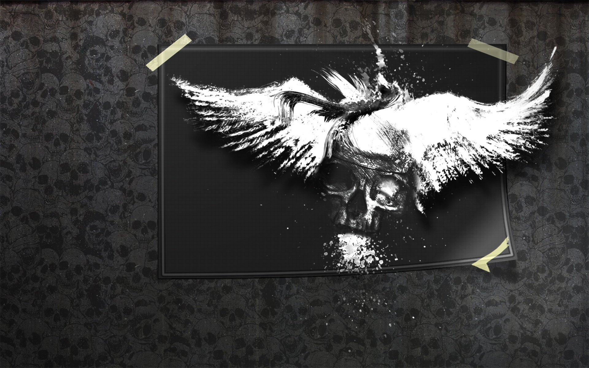 picture white wings skull