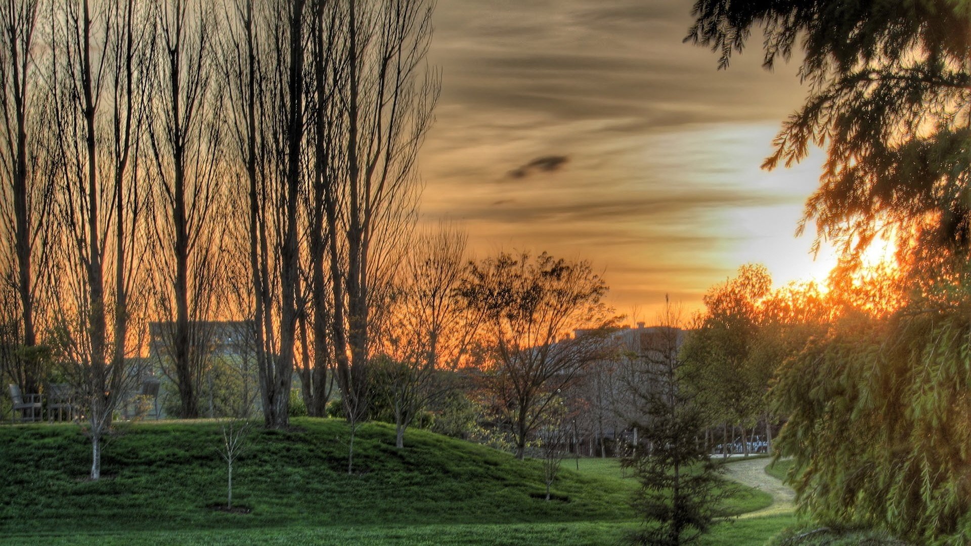 pelouse tondue arbres desséchés parc maison coucher de soleil sentier herbe