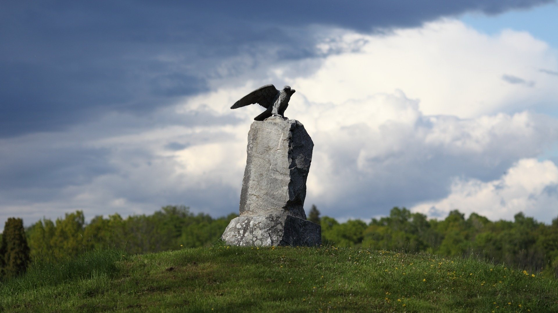 grün um steinstatue adler denkmäler wolken gras