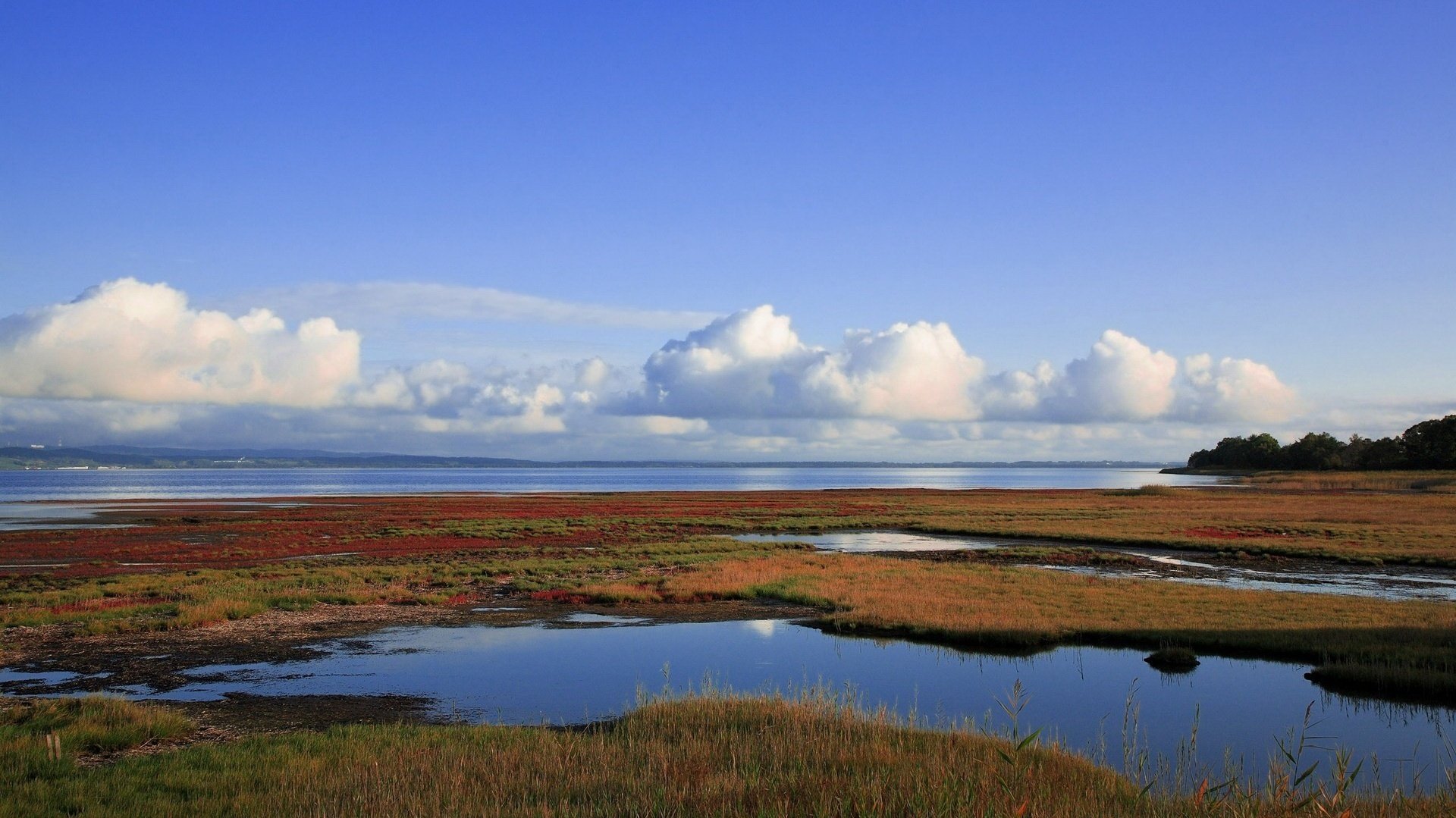 spaccature della terra acqua blu erba cielo acqua orizzonte nuvole palude paesaggio natura estate