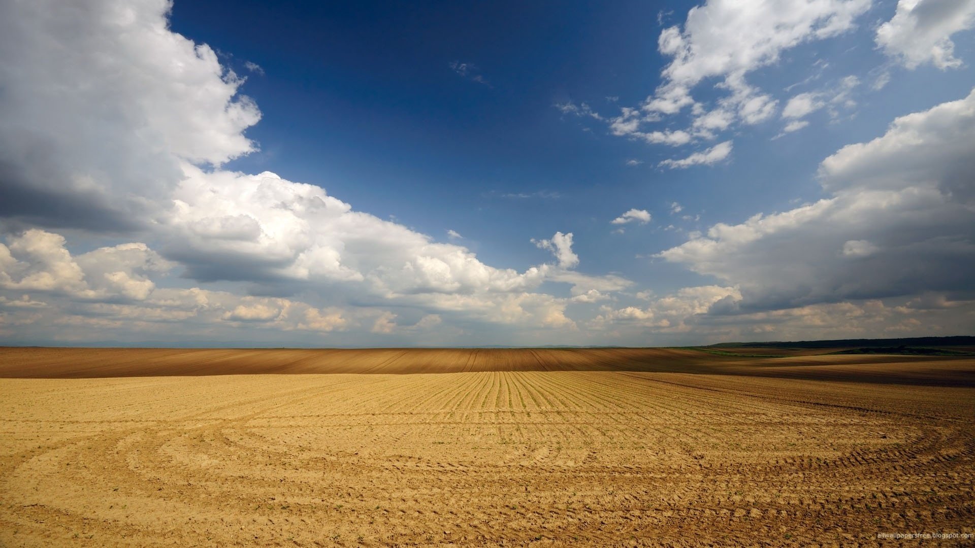 champ labouré couleur dorée traces de pneus ciel nuages horizon paysage champ champ de blé