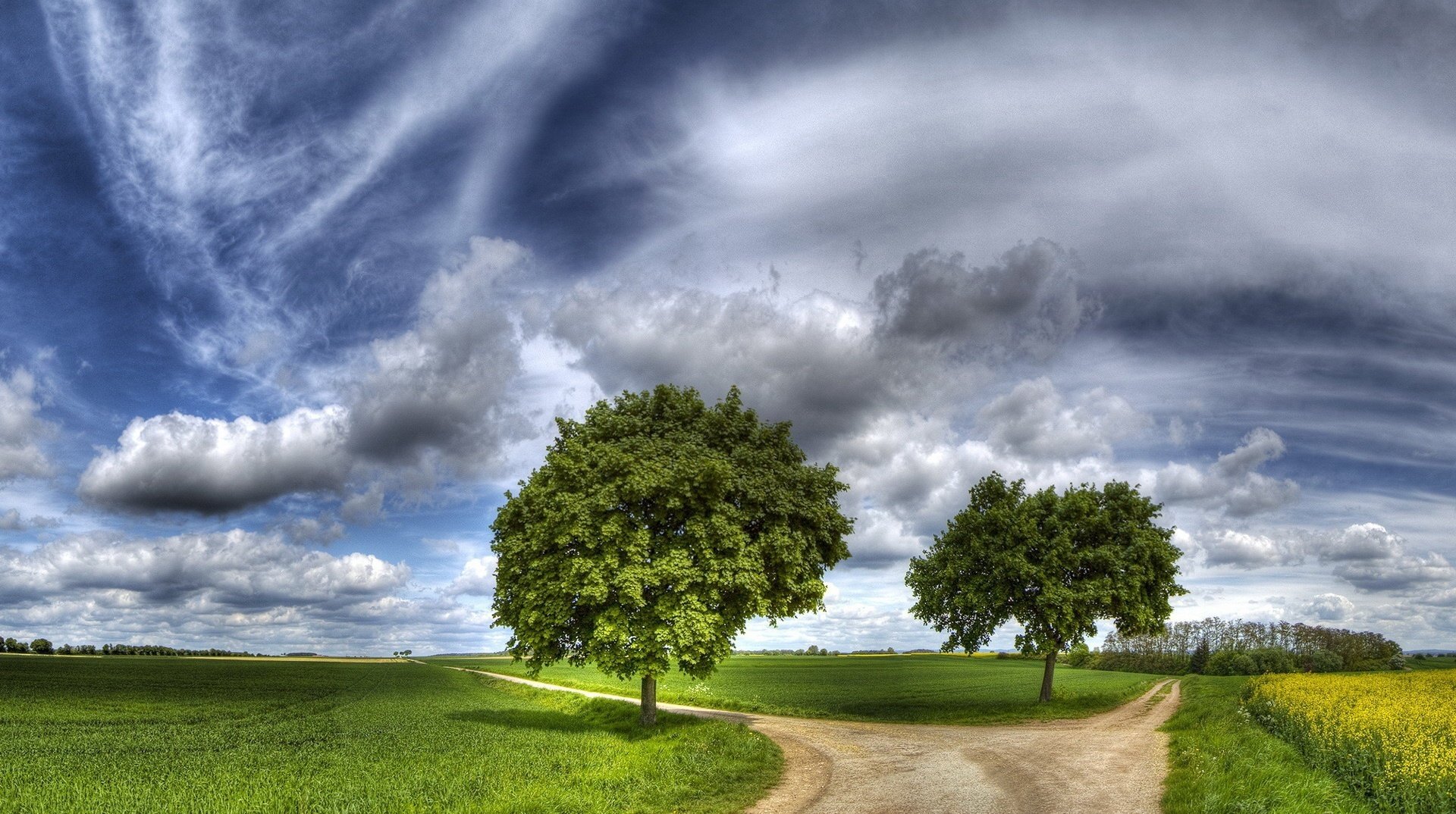 trees in the field crossroads two roads roads clouds road sky greenery meadow