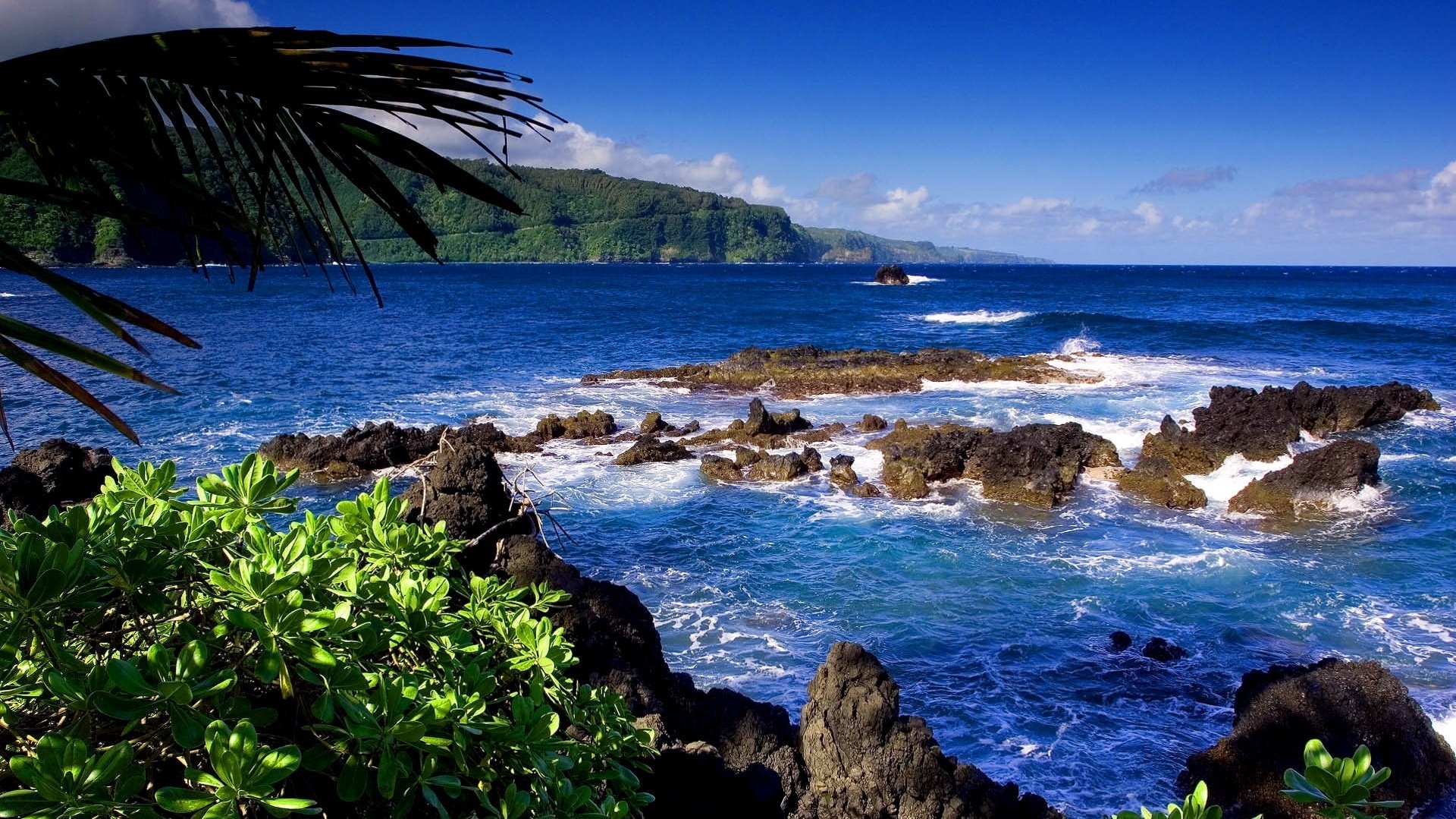 tranquilidad naturaleza marina rincón agua paisaje naturaleza piedras mar palmeras árboles surf olas costa montañas acantilado belleza cielo nubes