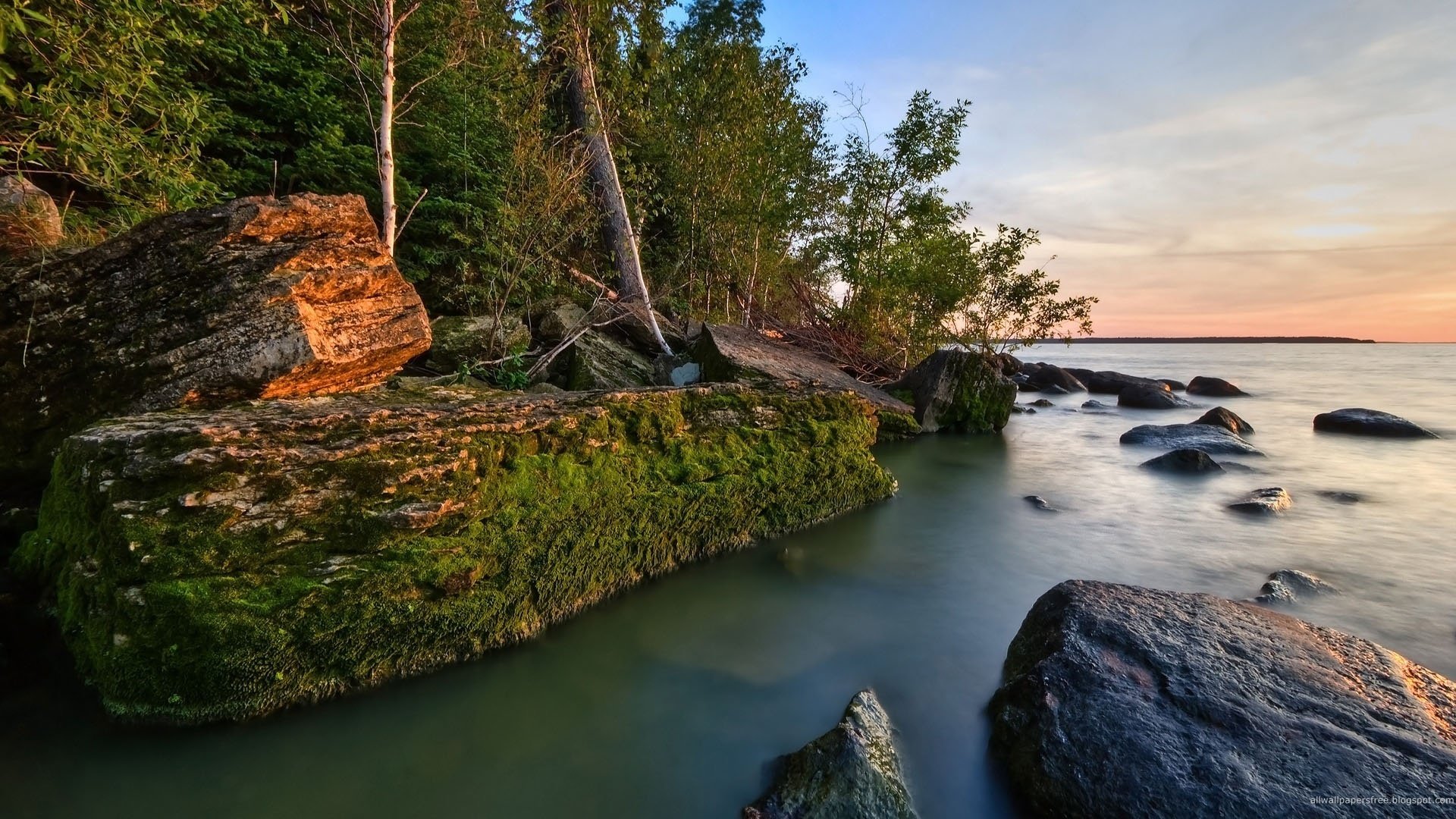 affluente del fiume rocce ricoperte di vegetazione terreno forestale tramonto acqua foresta riva muschio scogliera natura superficie liscia orizzonte paesaggio alberi