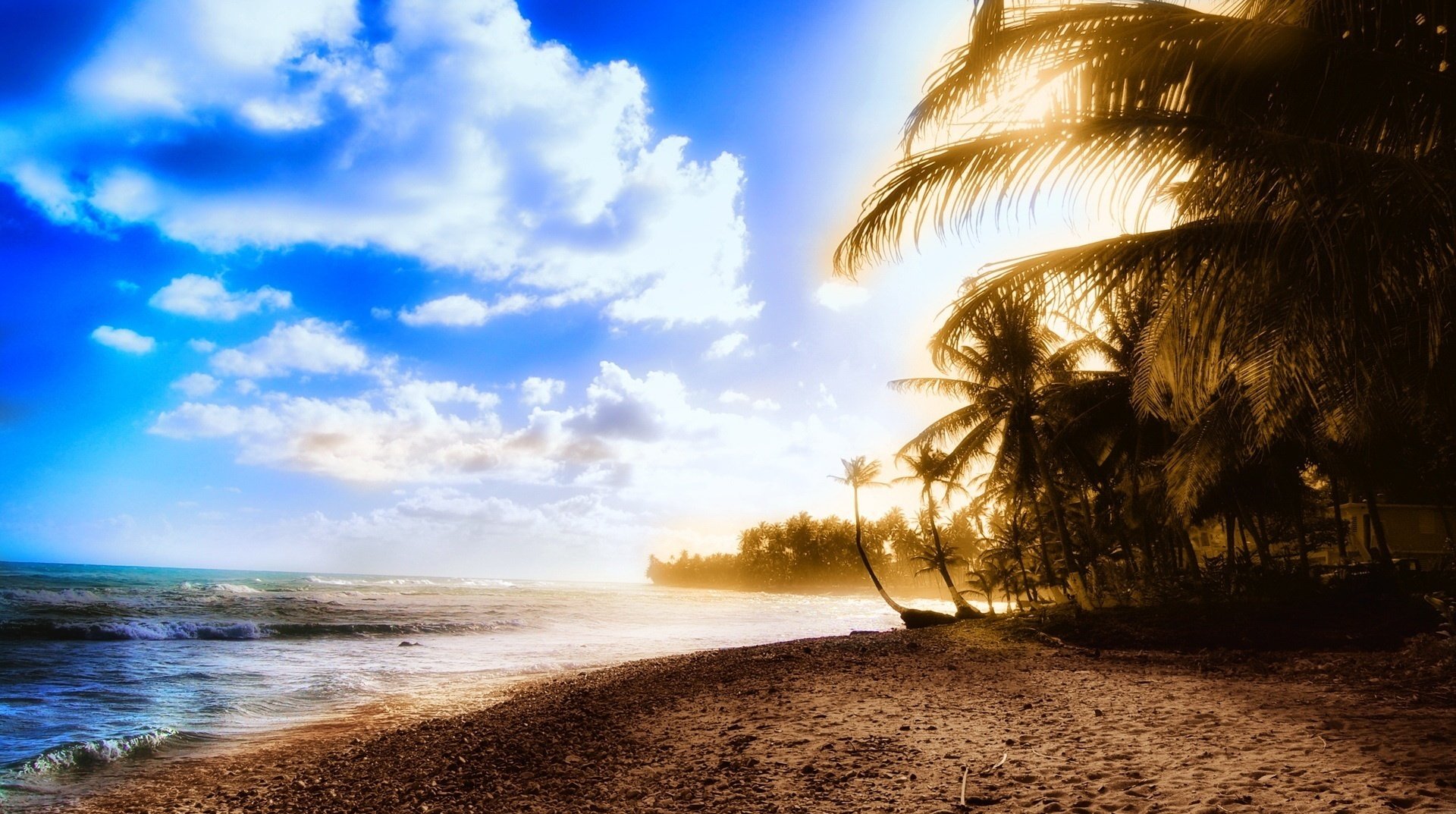 sable noir soleil plantes tropicales ciel plage palmiers nuages surf côte vagues sable côte tropiques loisirs