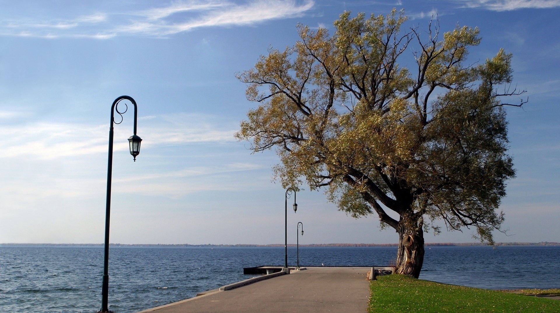 linterna zona costera espacios marinos árbol terraplén carretera río cielo