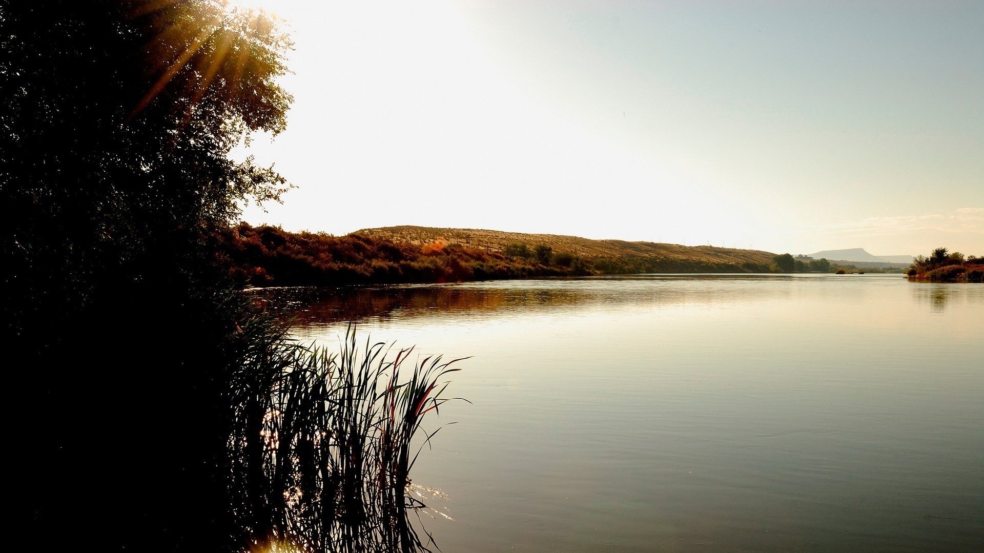 grandes surfaces eau roseaux lac eau jour surface rayons soleil collines côte arbres paysage espace nature