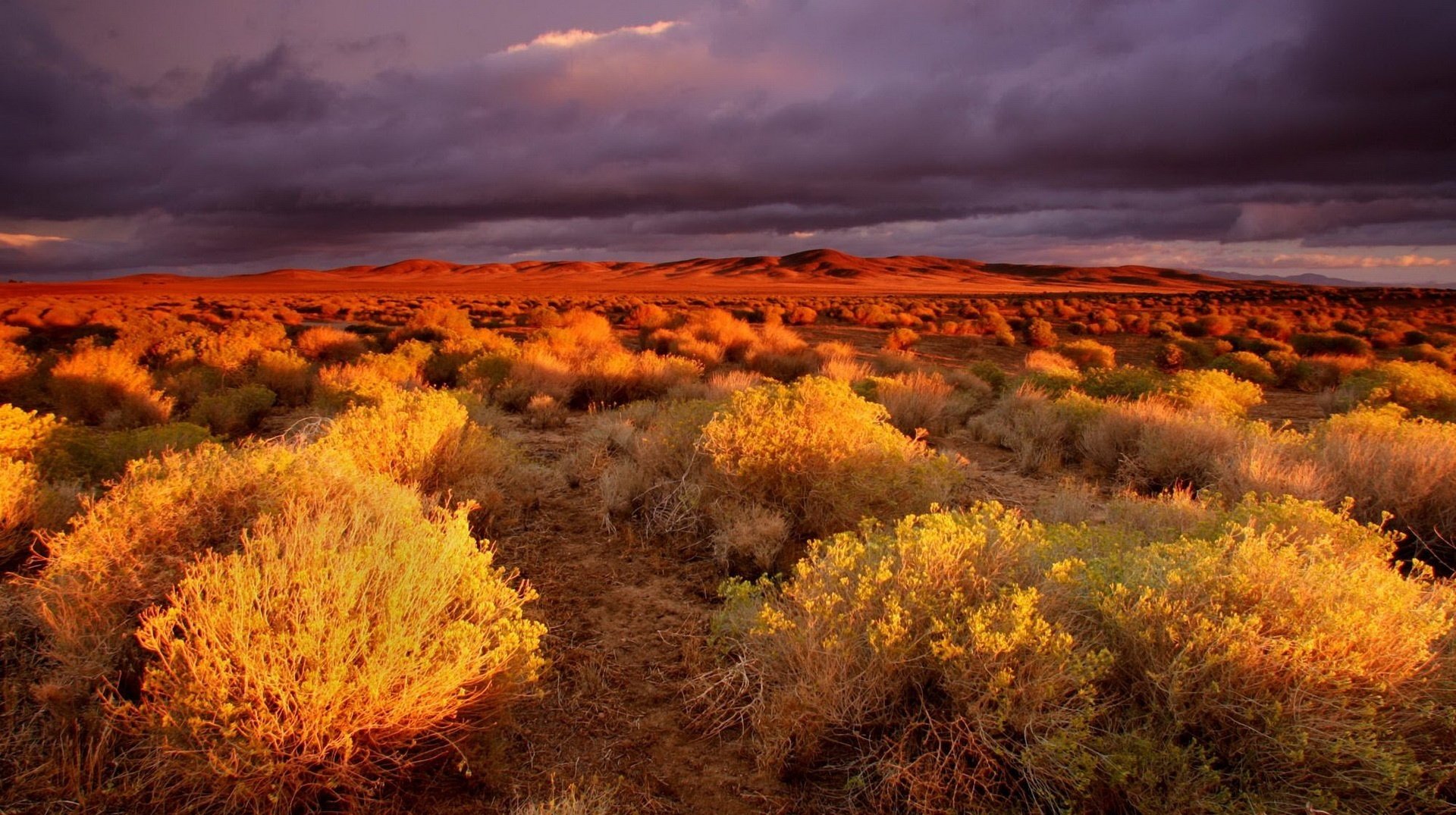 cespugli autunno radure di sabbia deserto cielo nuvole montagne