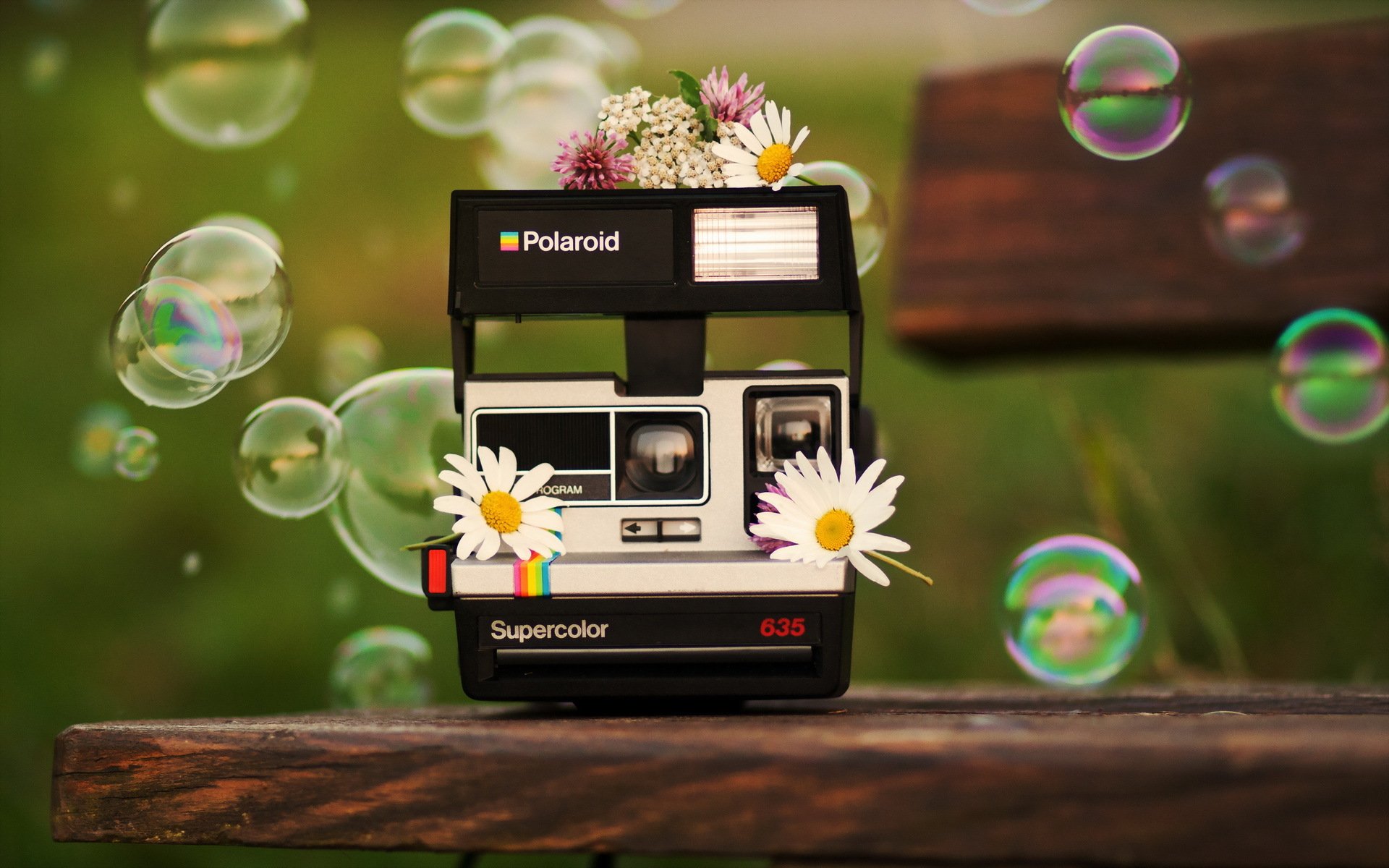 polaroid bulles fond