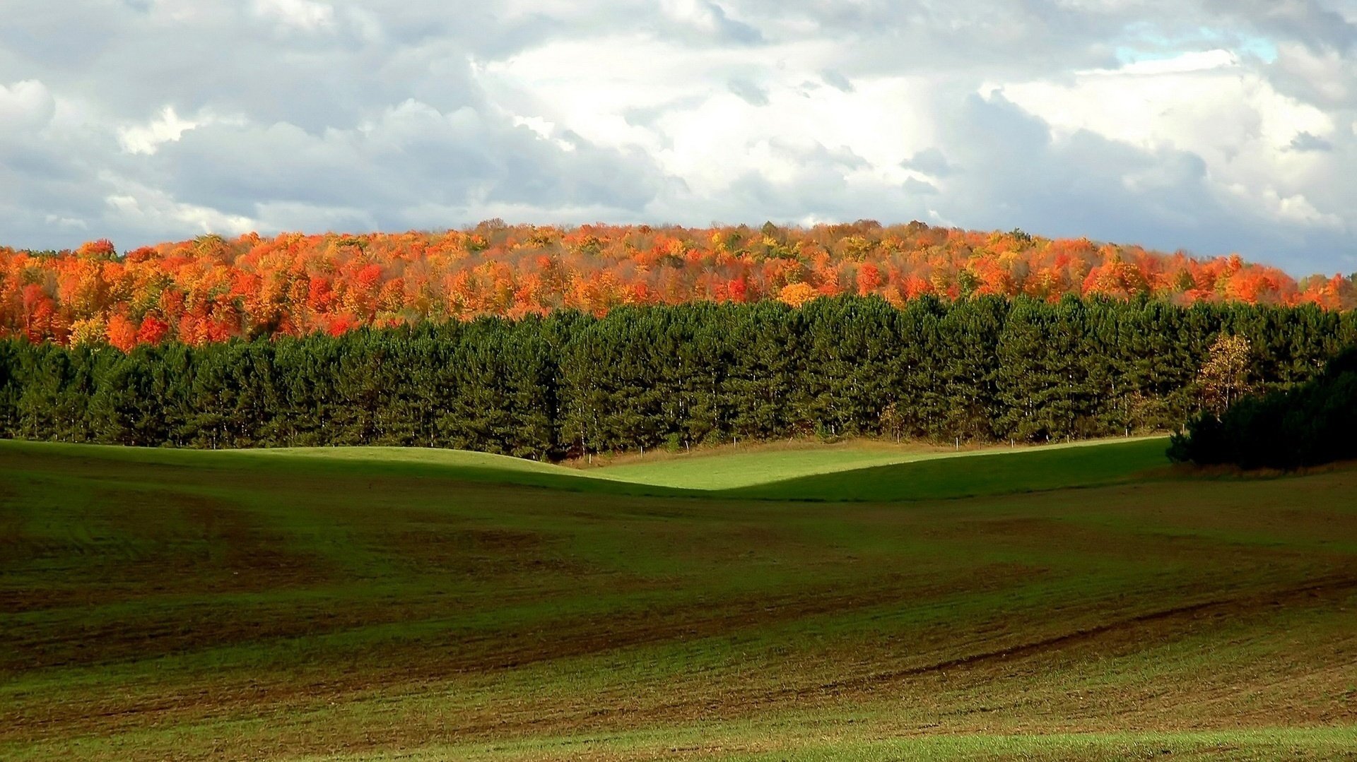 claro en las montañas manchas de colores otoño bosque árboles cielo nubes