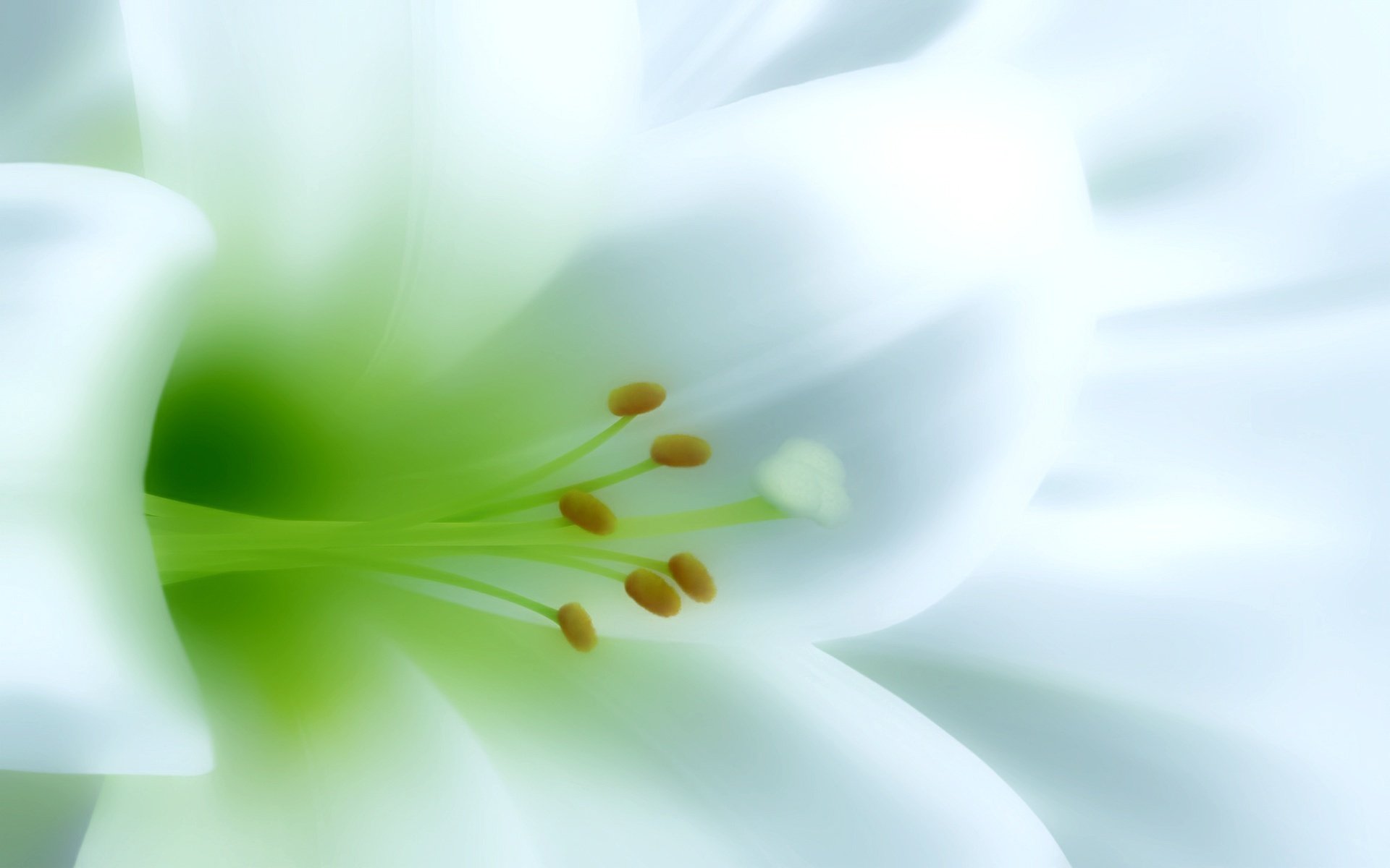 belleza blanca como la nieve flores creación delicada lirio del valle macro