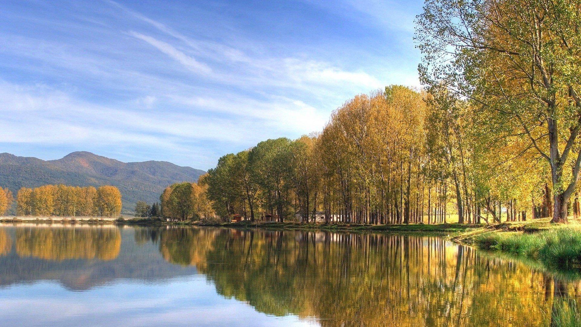 espejo de agua árboles esponjosos hojas amarillas cielo lago bosque agua montañas árboles paisaje calma nubes hierba vegetación reflexión