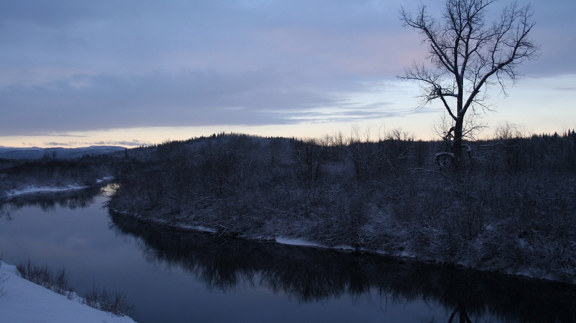 disgelo fiume sponde erbose fiume inverno silenzio calma sera cielo corrente riva foresta