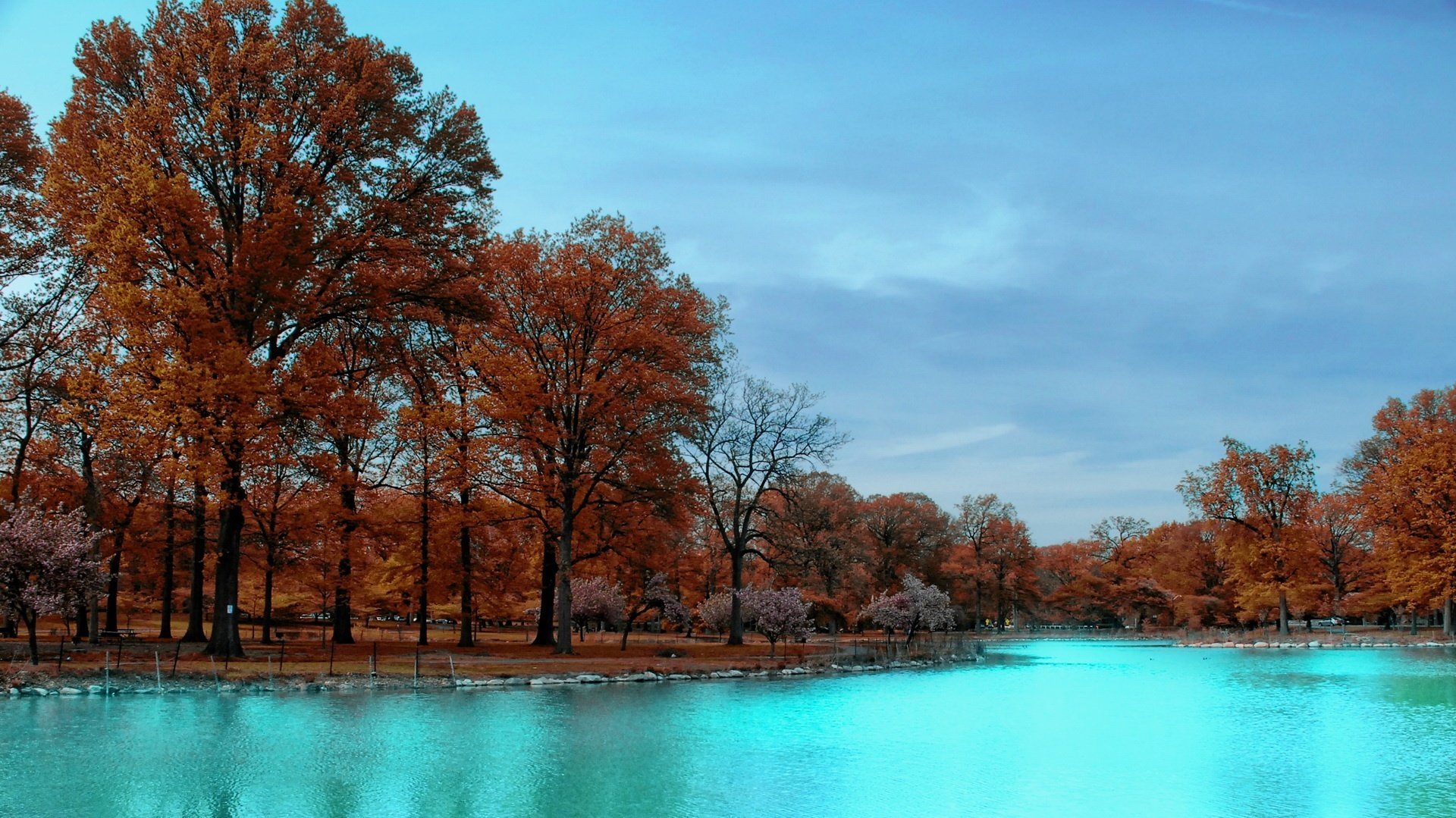 feuilles brunes eau vive fraîcheur rivière forêt automne silence arbres sérénité nature ciel parc