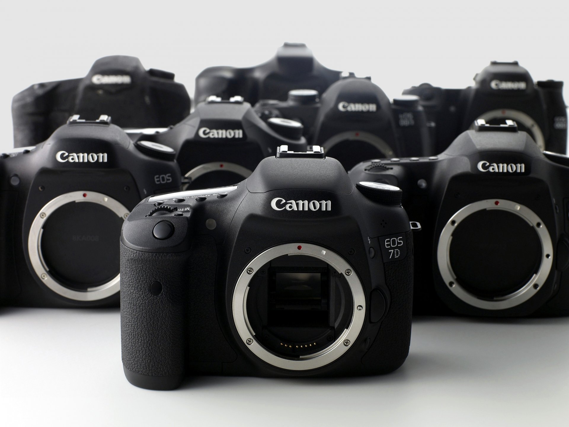 canon eos 7d макро фон