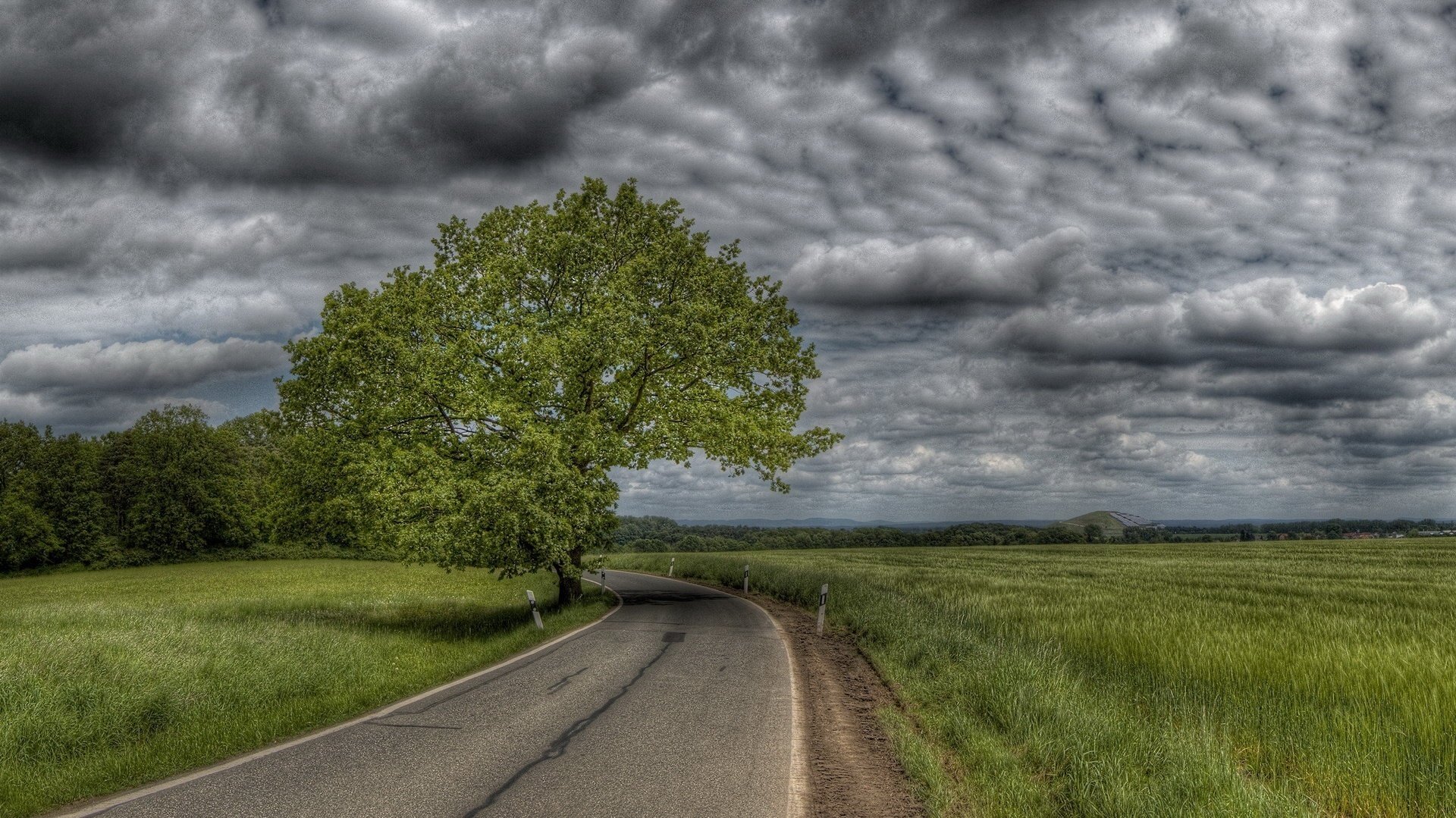 road in field dark clouds green tree road the storm the sky markup columns turn grass field storm clouds overcast bad weather