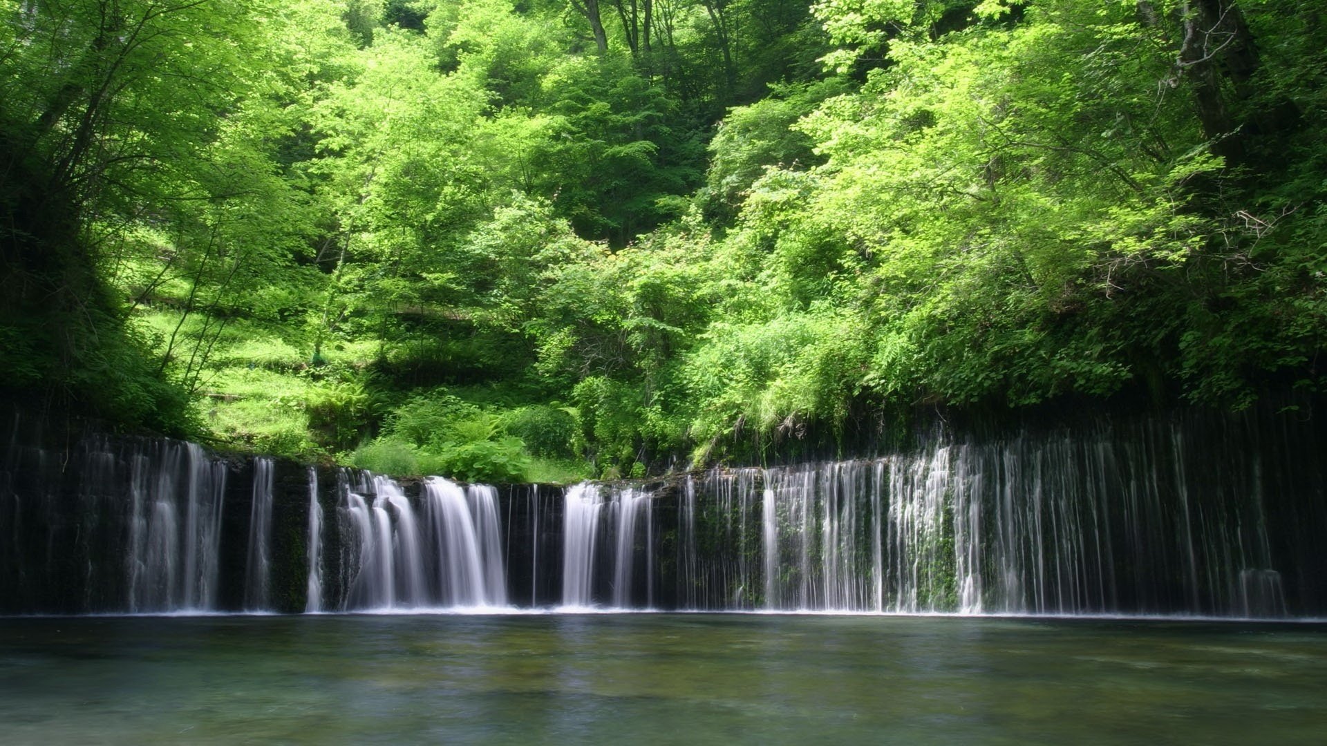 rocas cascadas hojas verdes río bosque agua naturaleza paisaje matorrales vegetación día verano soleado