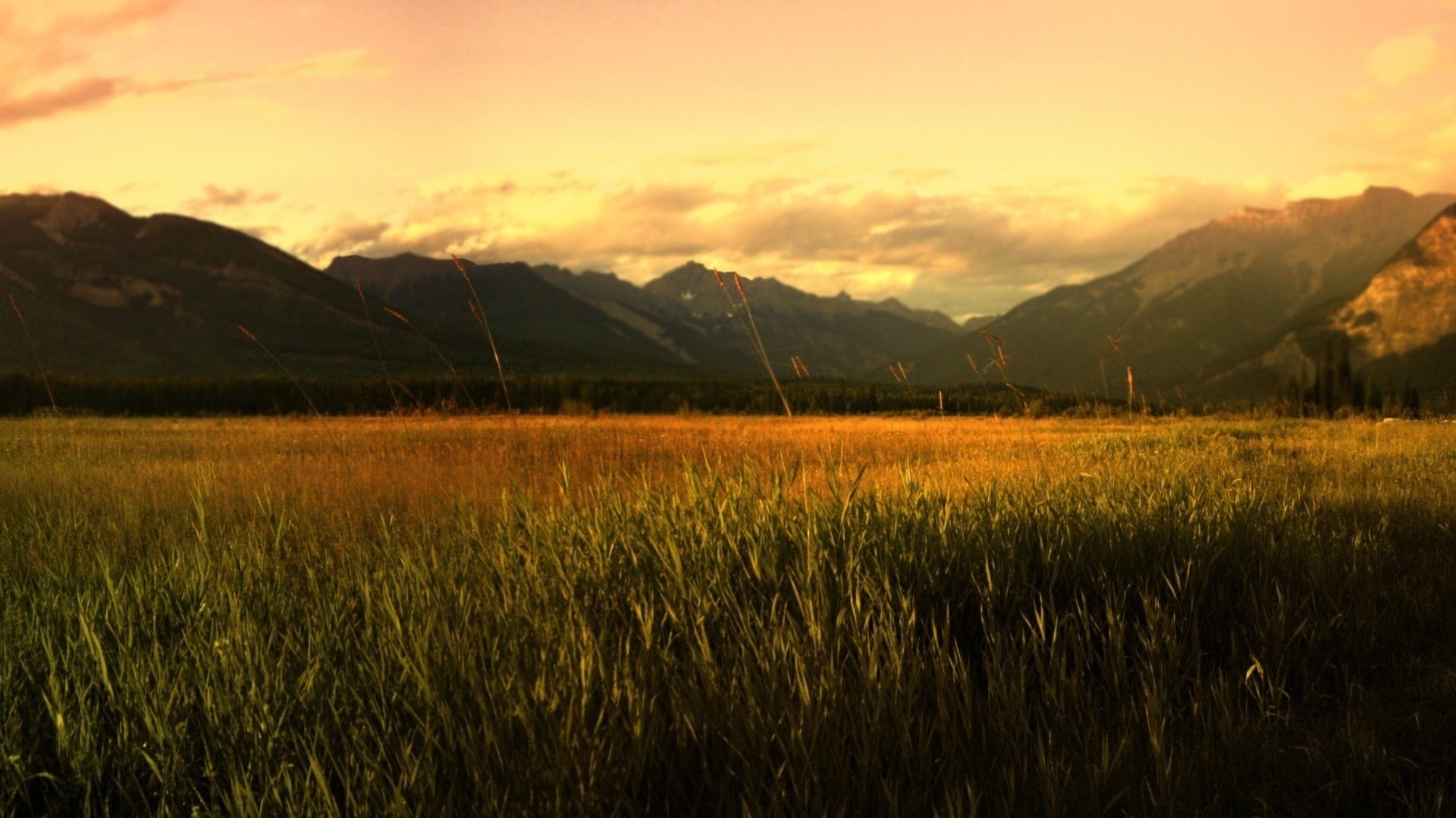 nature endormie montagnes champ doré coucher de soleil herbe soleil ciel nuages nuages sérénité soirée calme chaleur