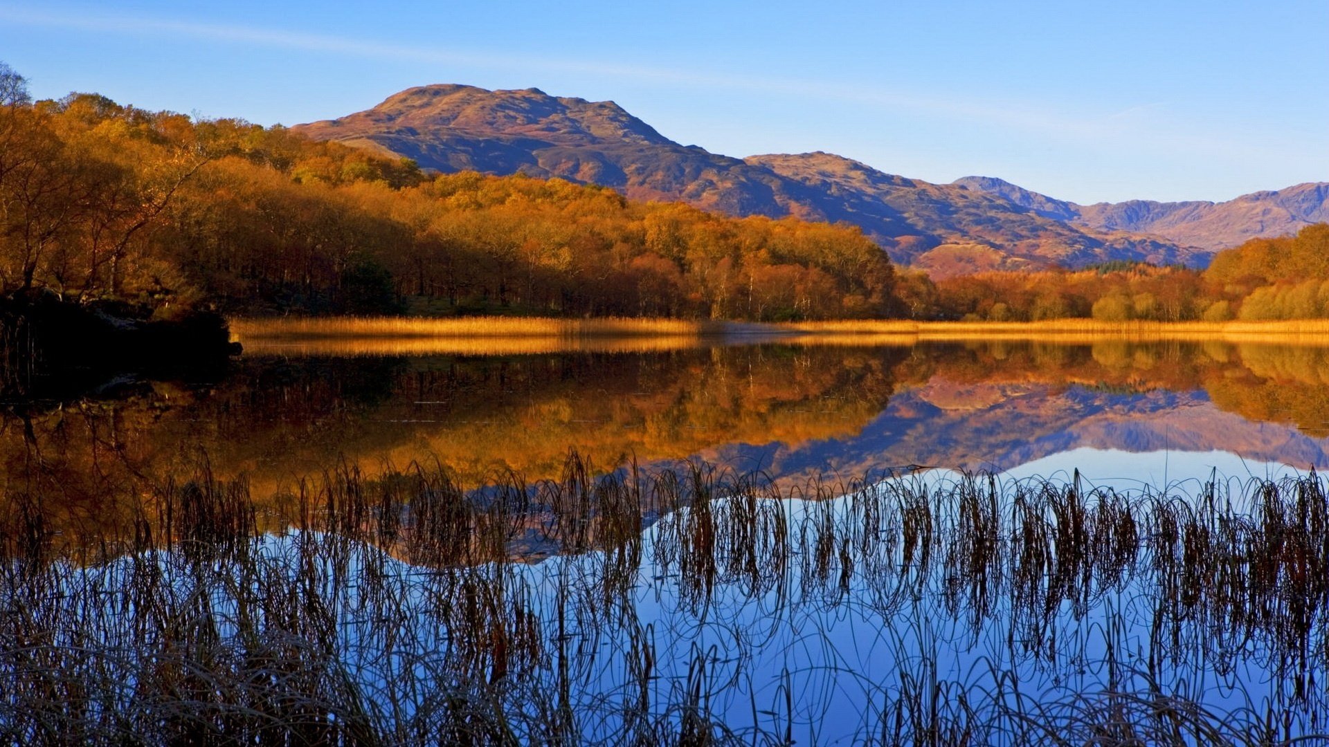 lake forest areas reeds mountains lake water forest surface reflection nature autumn colors autumn forest landscape