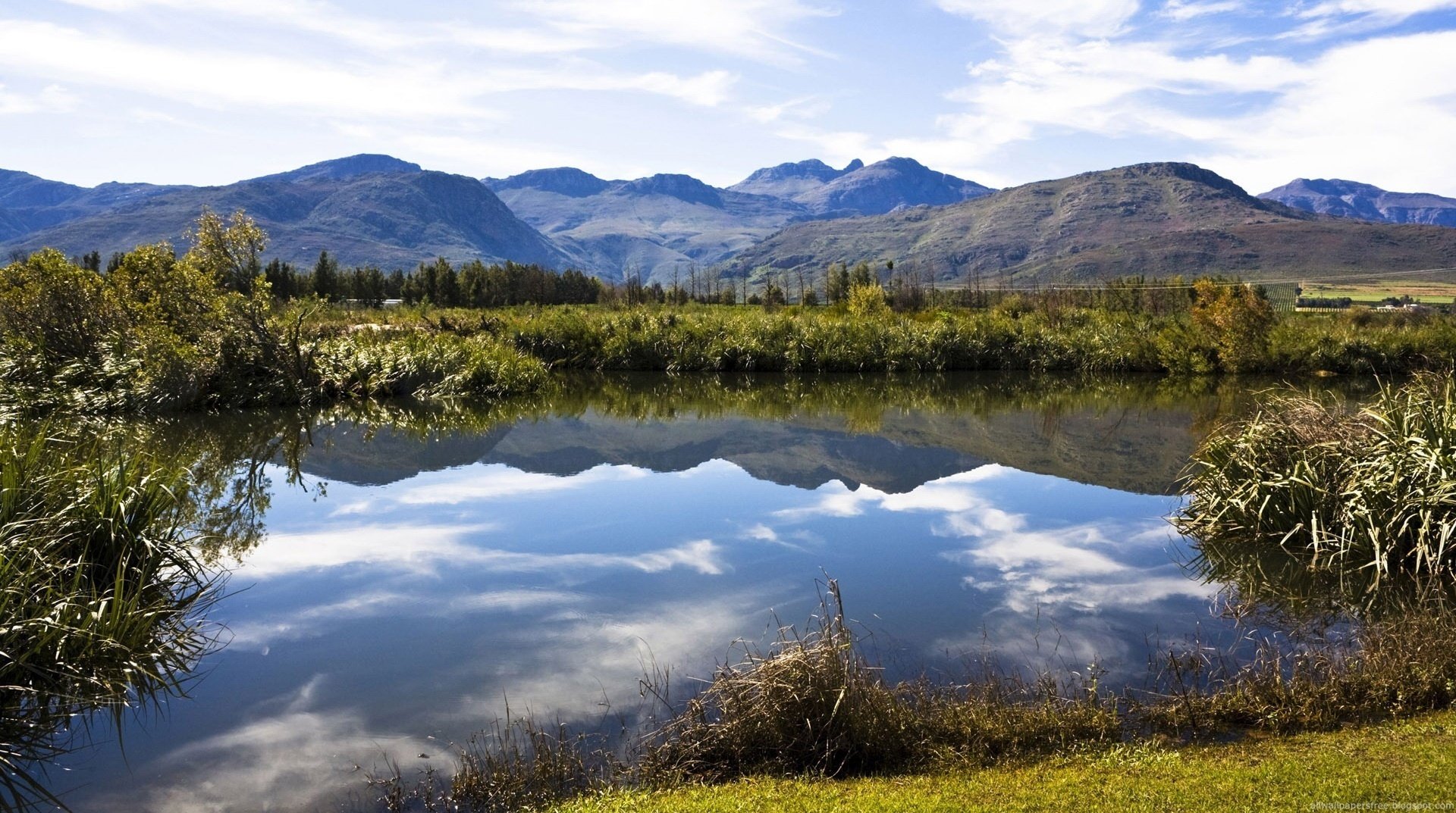 fauna selvatica bellezza canne montagne acqua lago nuvole riflessione paesaggio riva vegetazione erba arbusti