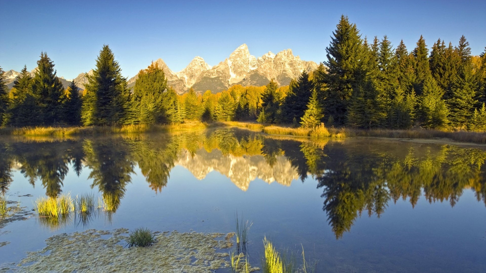 village de pins sommets des montagnes miroir de la nature montagnes lac forêt arbres de noël réflexion nature paysage vue surface eau ciel