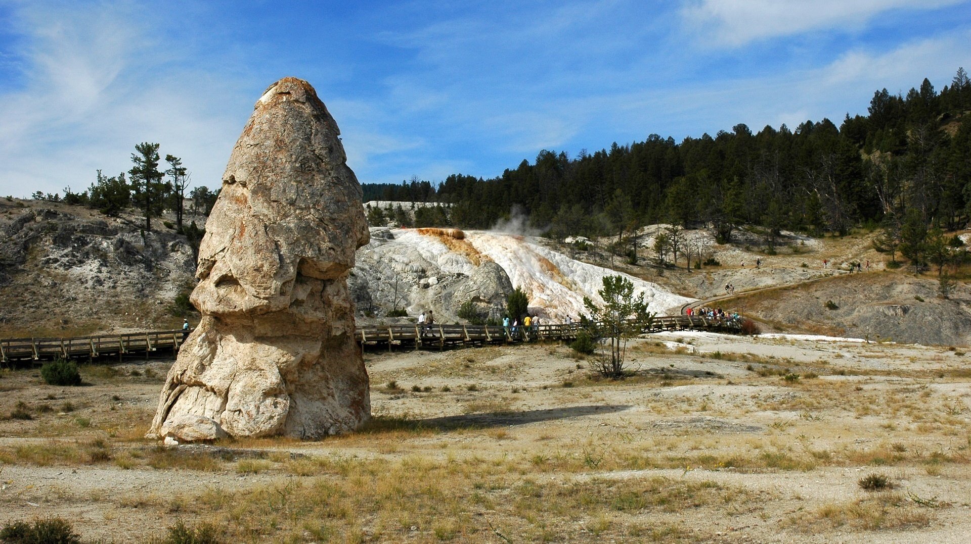 human intervention the bridge stone sculpture earth grass stone forest trees road the fence people