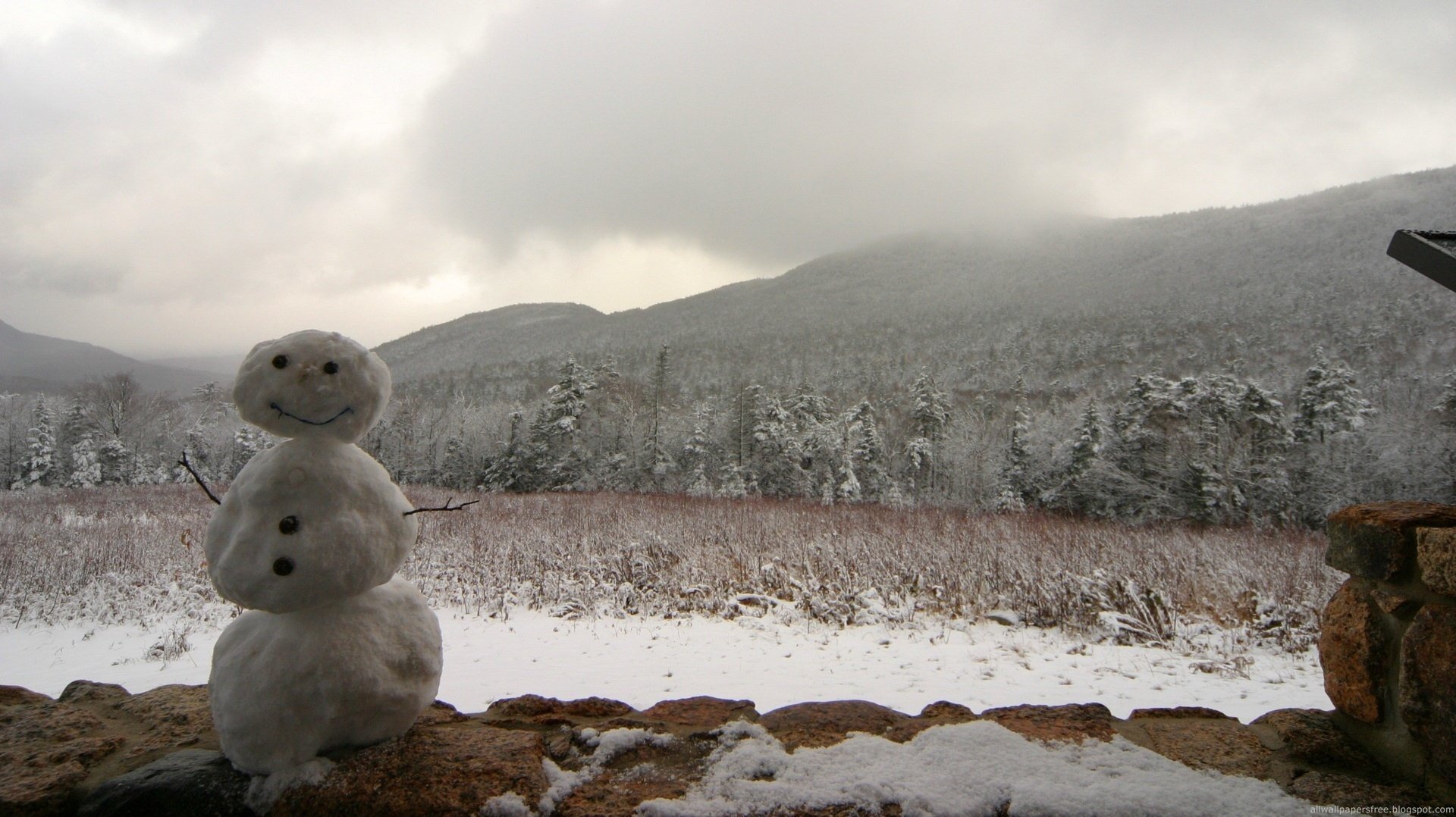 baba delle nevi scherzi per bambini terreno di montagna inverno pupazzo di neve neve grigio sorriso vento campo montagne velo