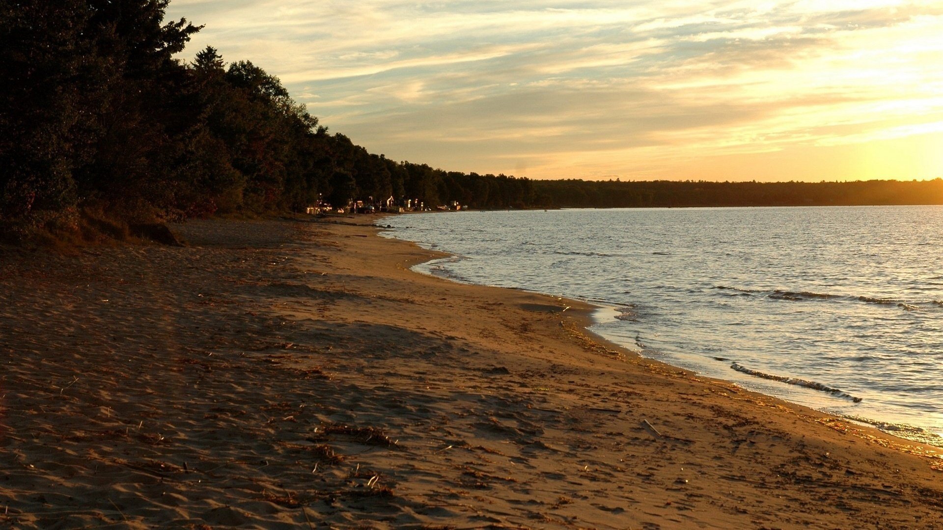 petites brindilles sable côte coucher de soleil côte mer surf baie baie plage paysage nature soirée arbres petites vagues