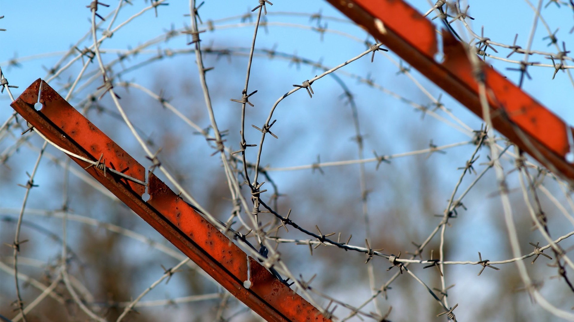 the fence barbed wire heaven creative