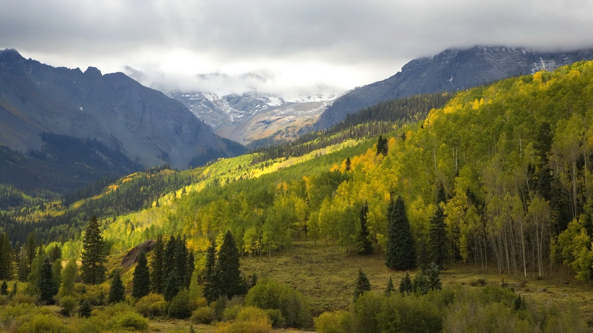 sottili raggi di luce fioritura foresta montagne radura natura paesaggio paesaggio