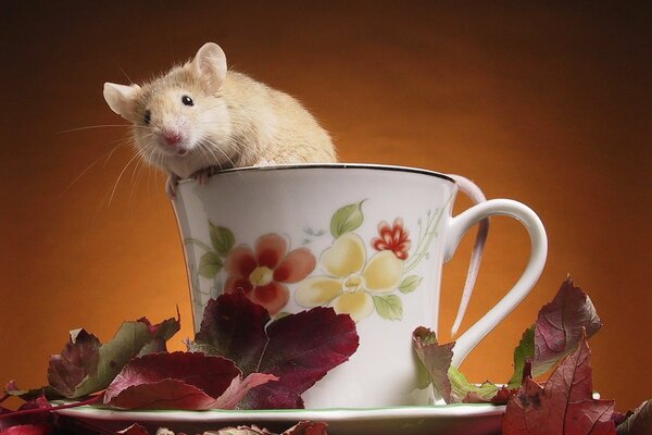 The mouse is sitting in a cup with flowers