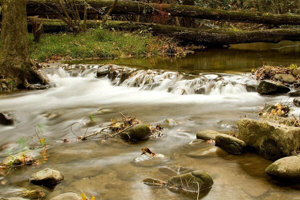 Ruisseau de montagne avec des pierres et de l eau froide