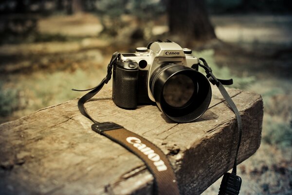 The camera is lying on a park bench